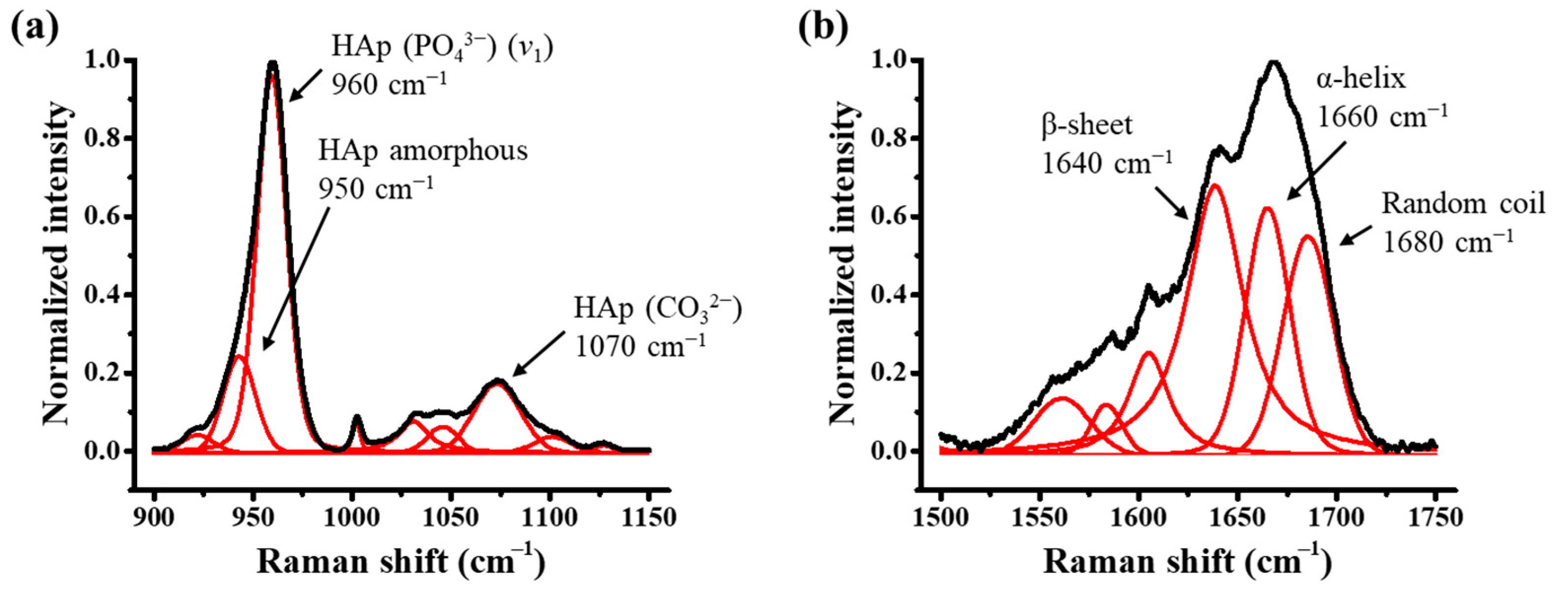 Molecules 29 06049 g005 Molecules 29 06049 g005