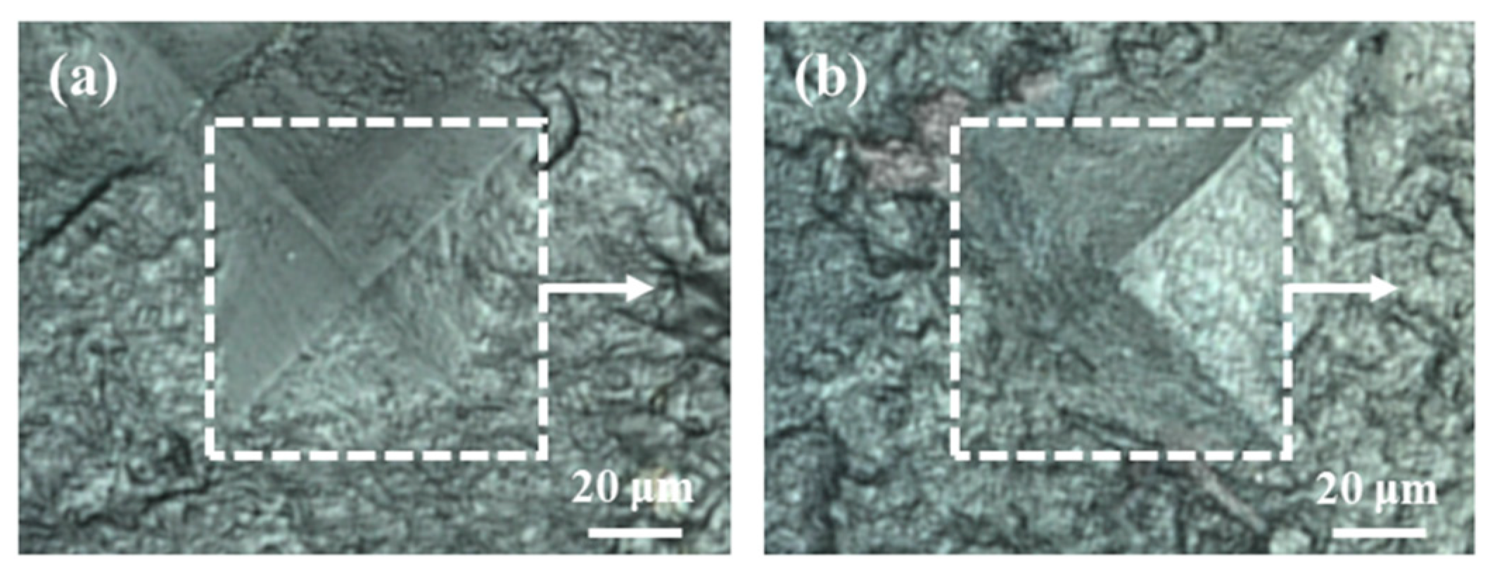 Molecules 29 06049 g007 Molecules 29 06049 g007