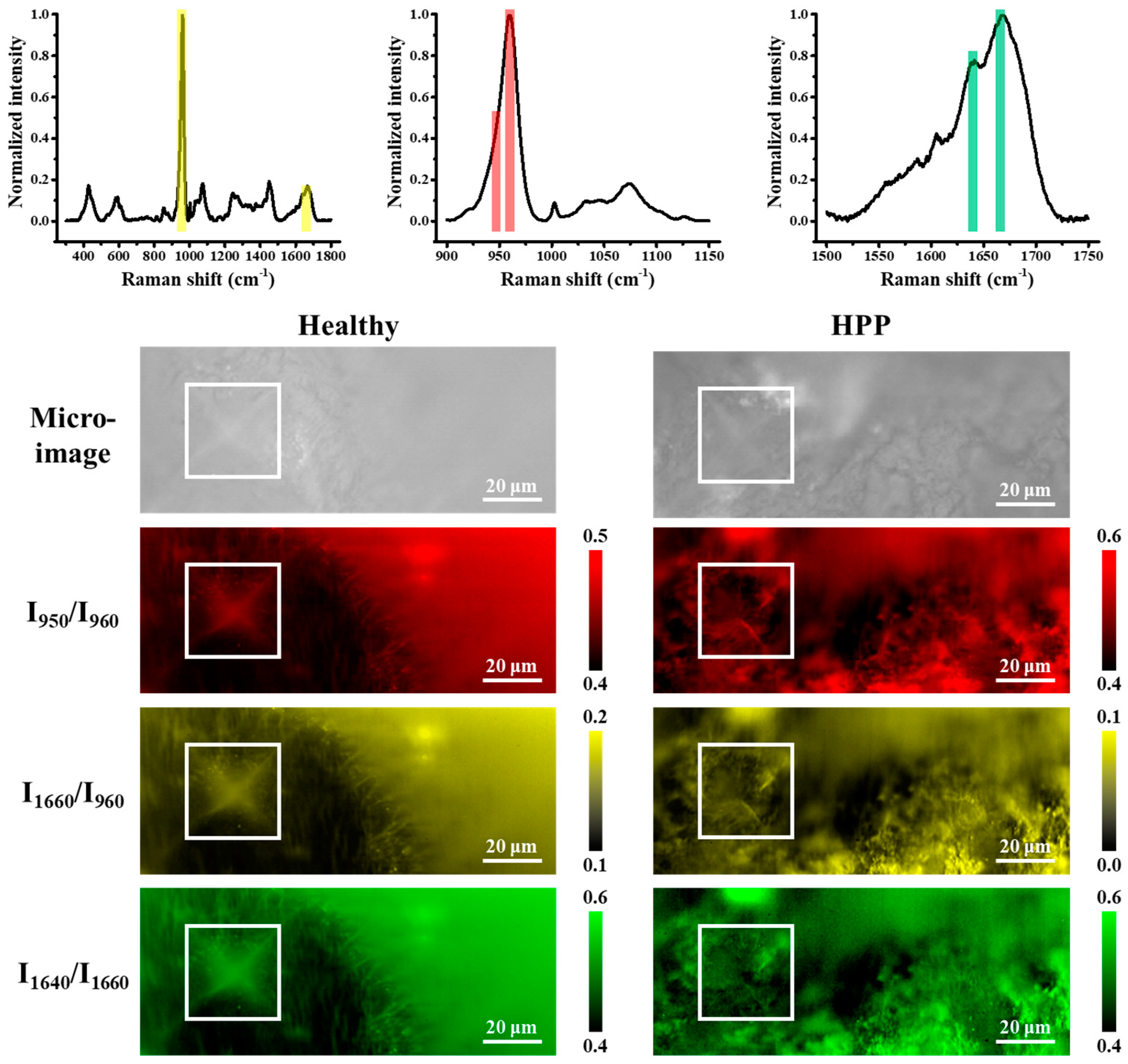 Molecules 29 06049 g009 Molecules 29 06049 g009