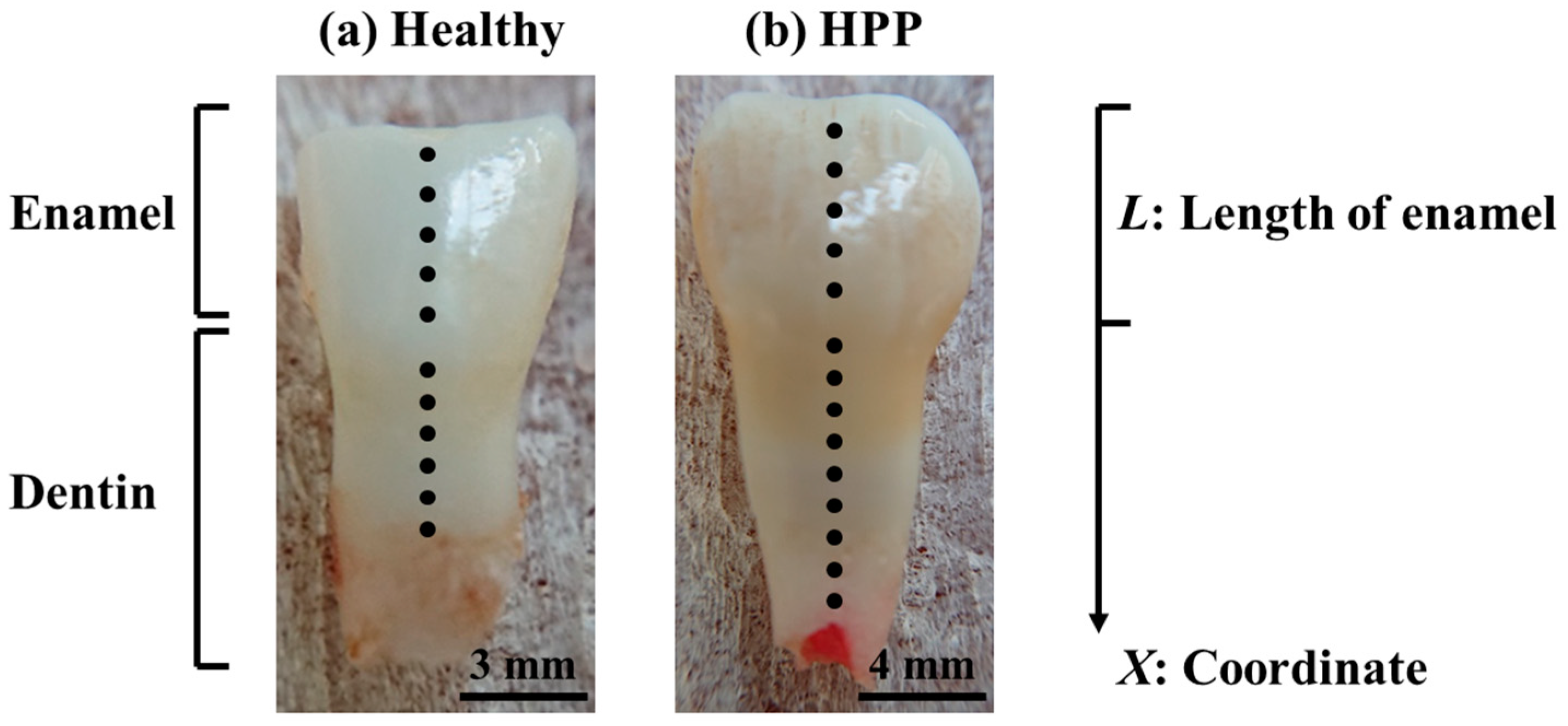 Molecules 29 06049 g011 Molecules 29 06049 g011