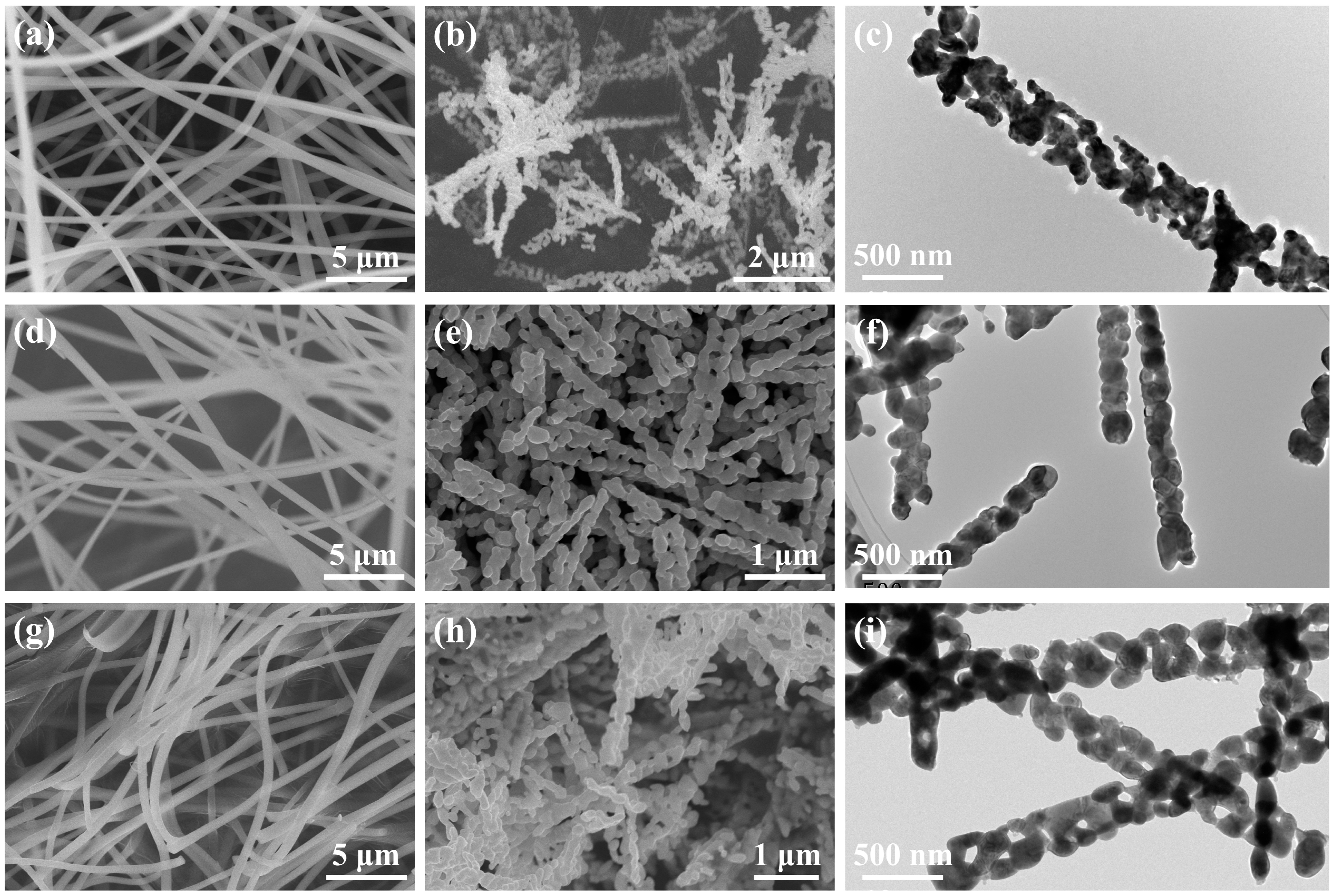 Molecules 29 06056 g002