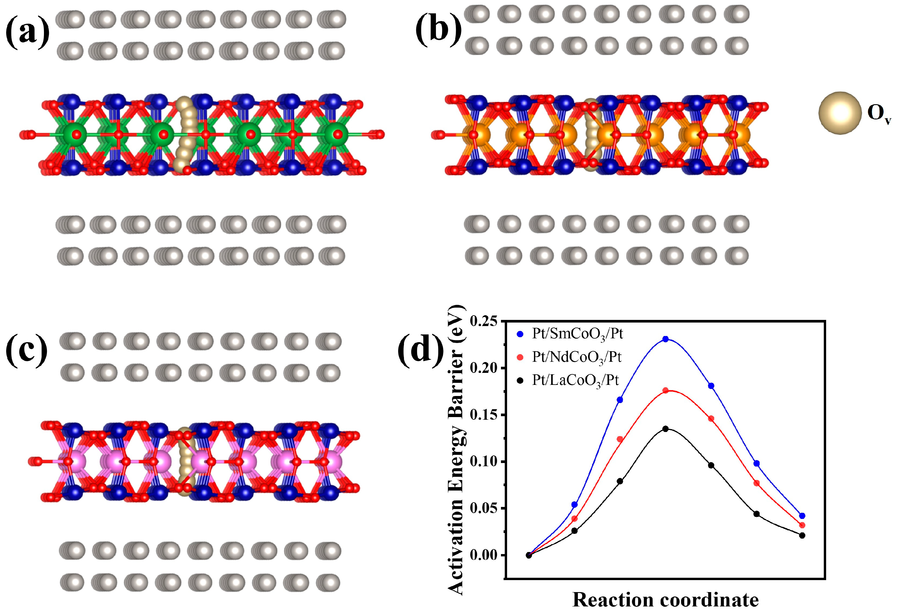 Molecules 29 06056 g007