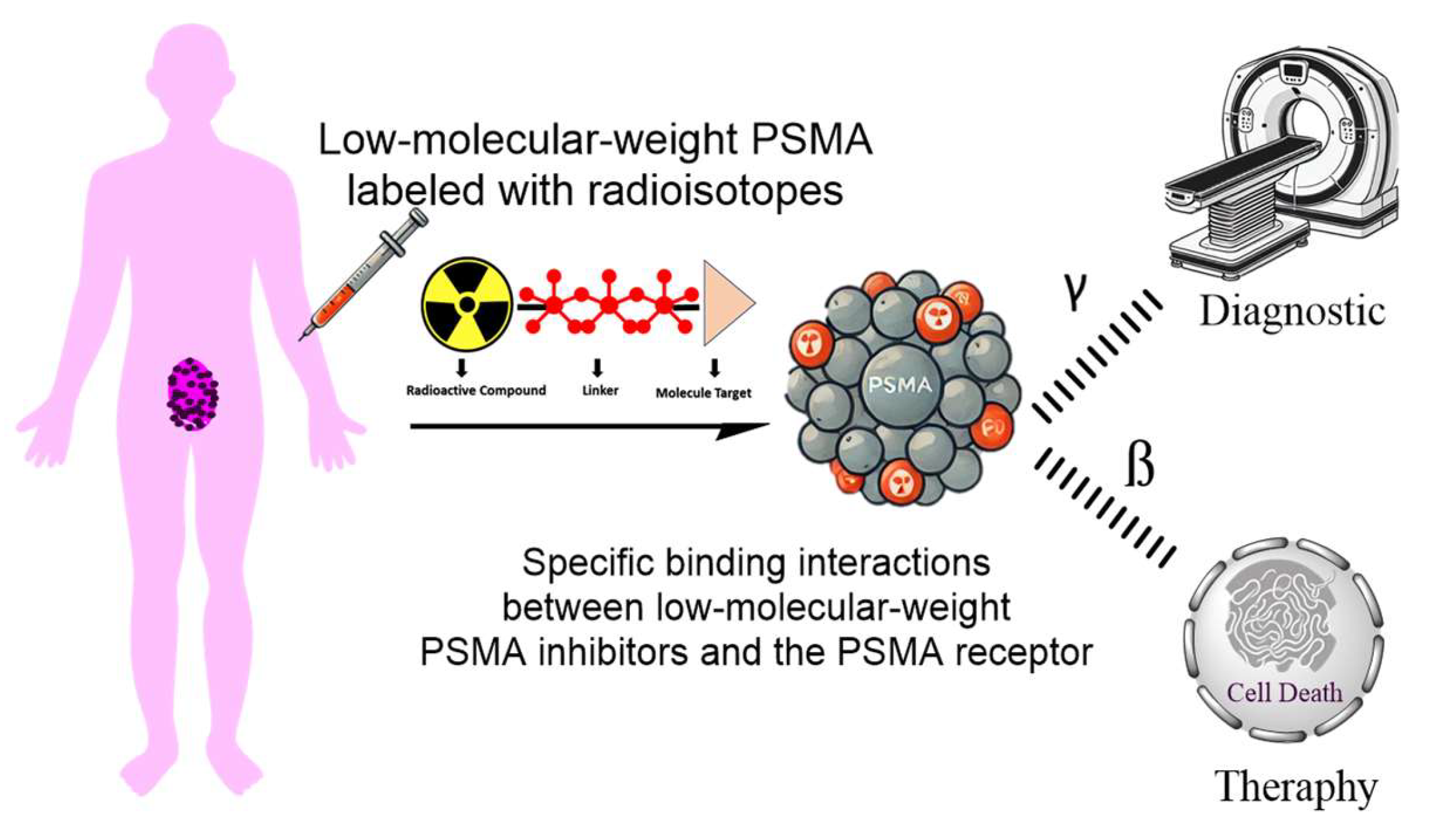 Molecules 29 06062 g003