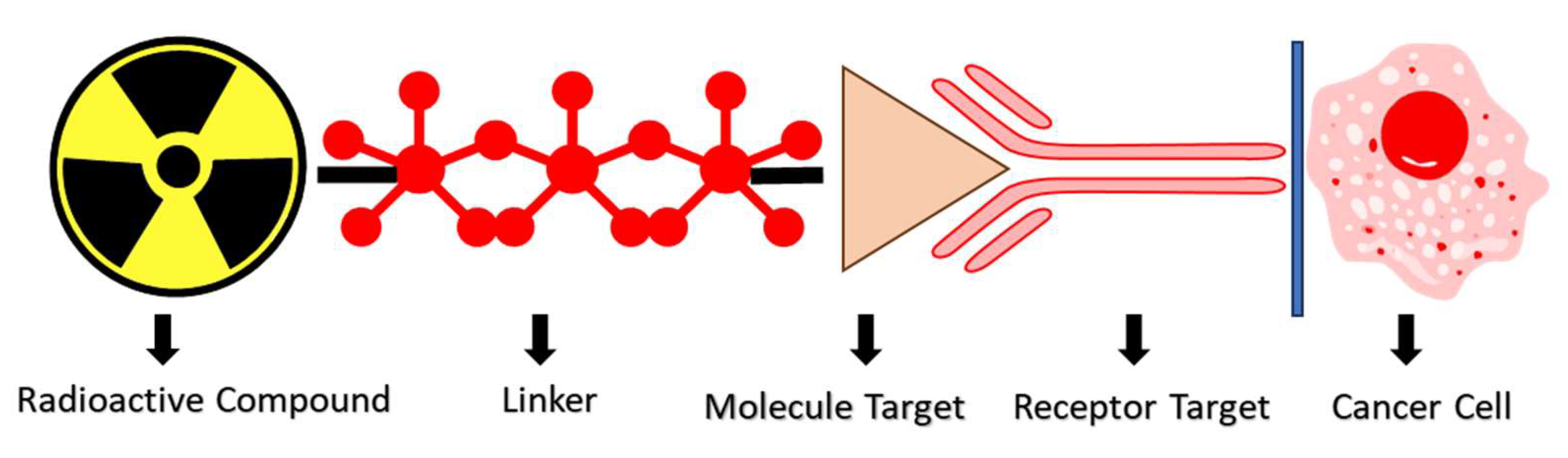 Molecules 29 06062 g005