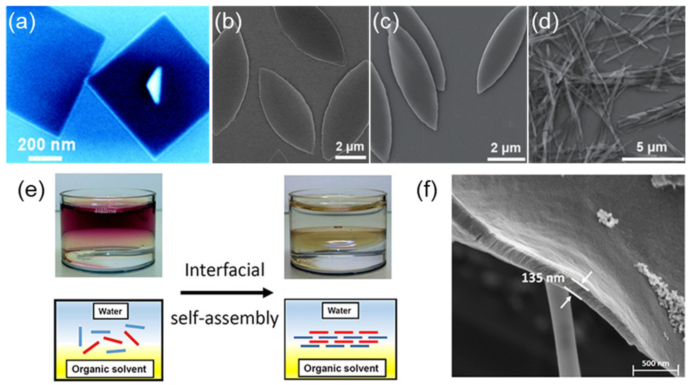 Molecules 29 06063 g003