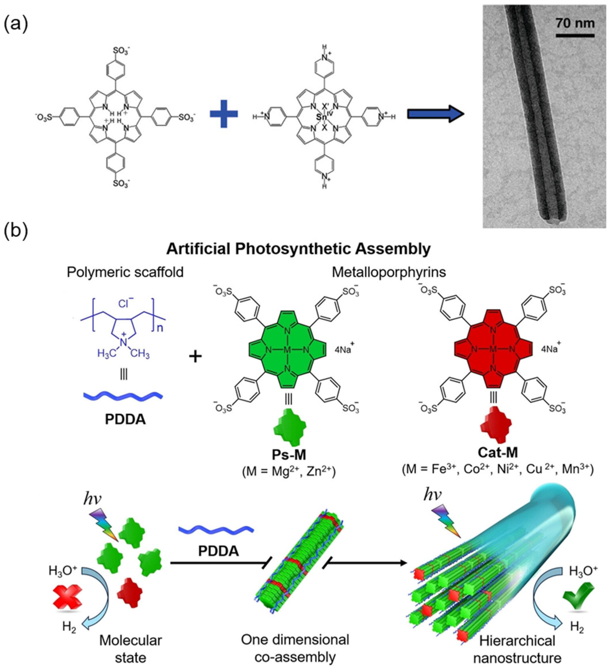 Molecules 29 06063 g004