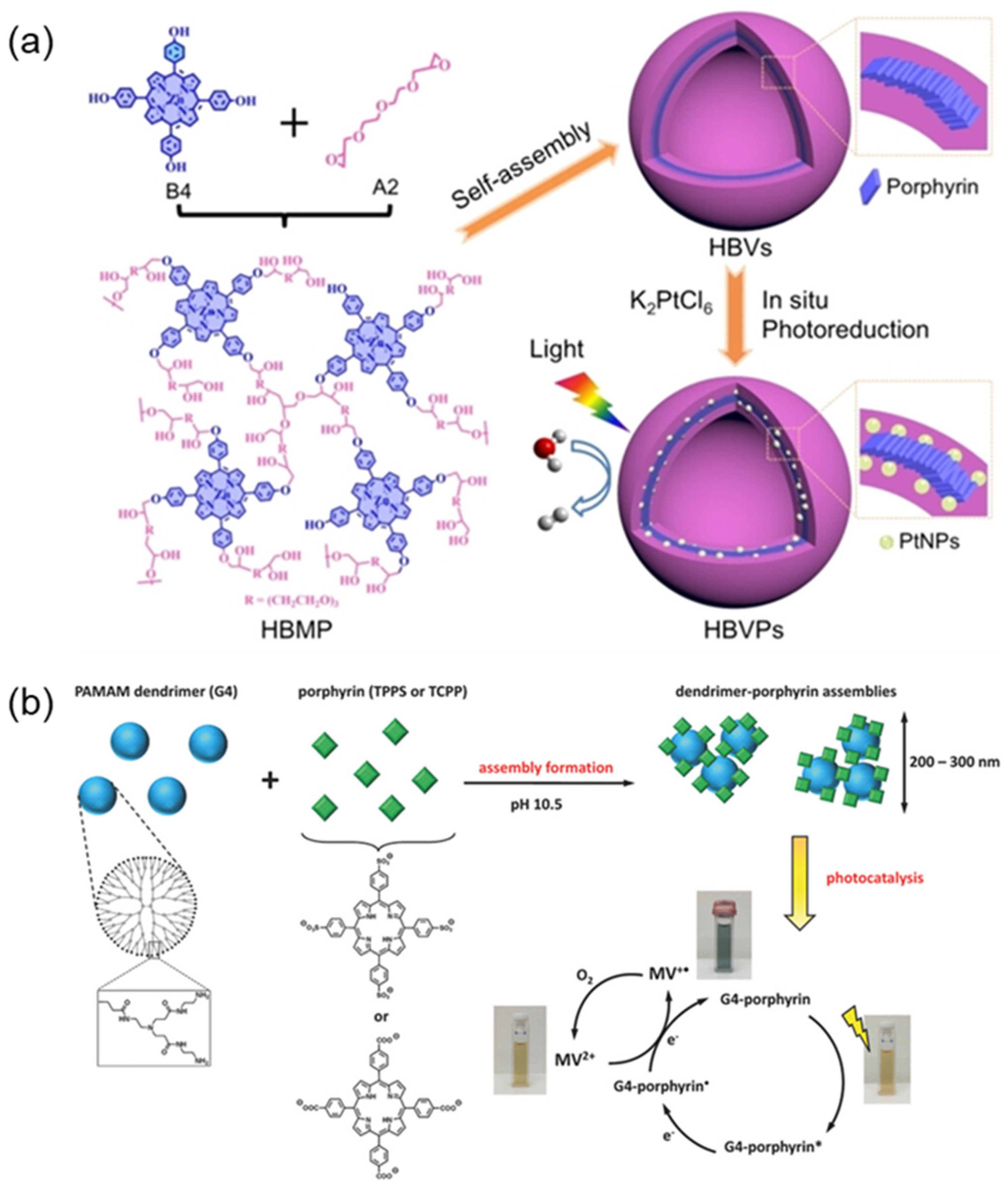 Molecules 29 06063 g007