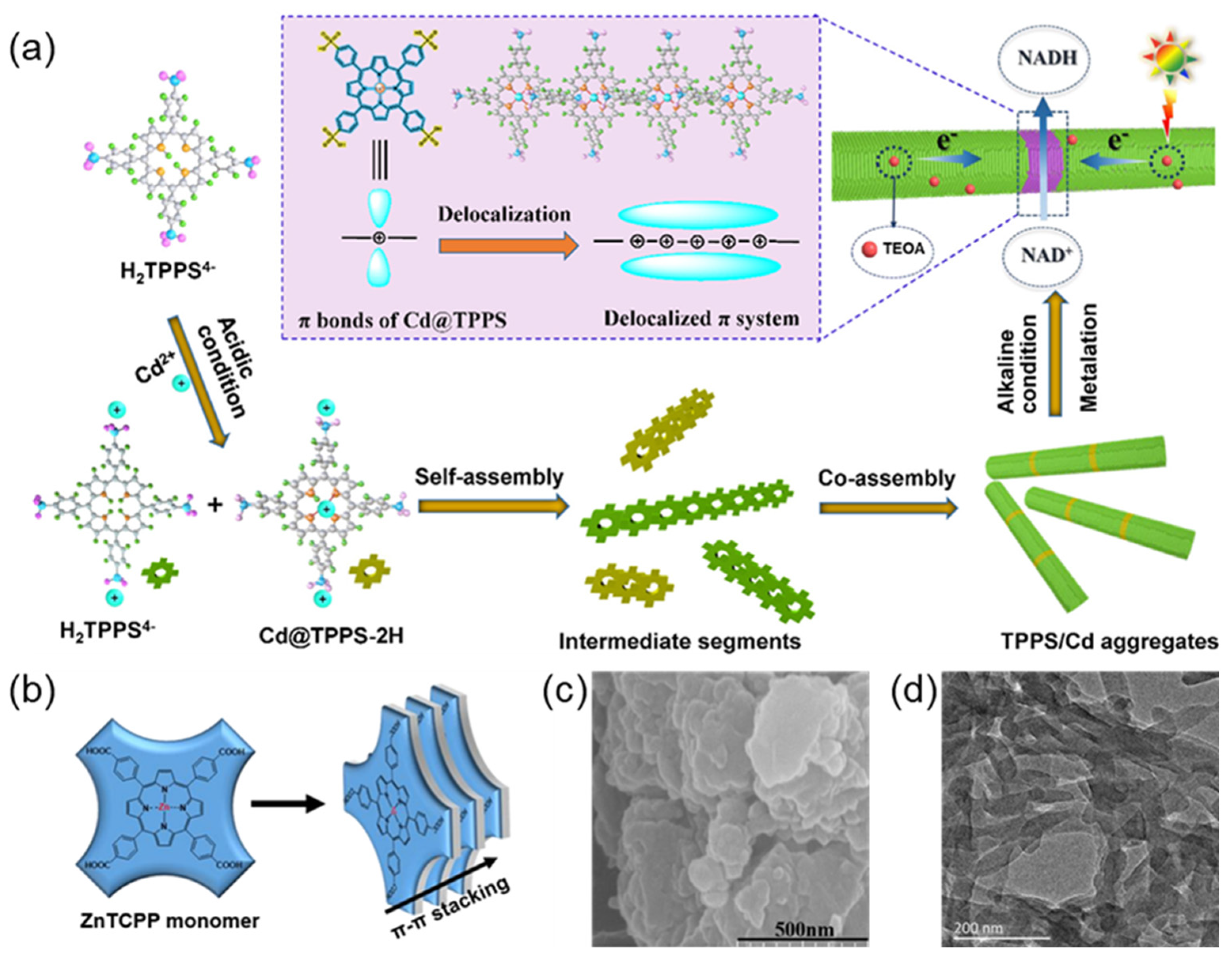 Molecules 29 06063 g008