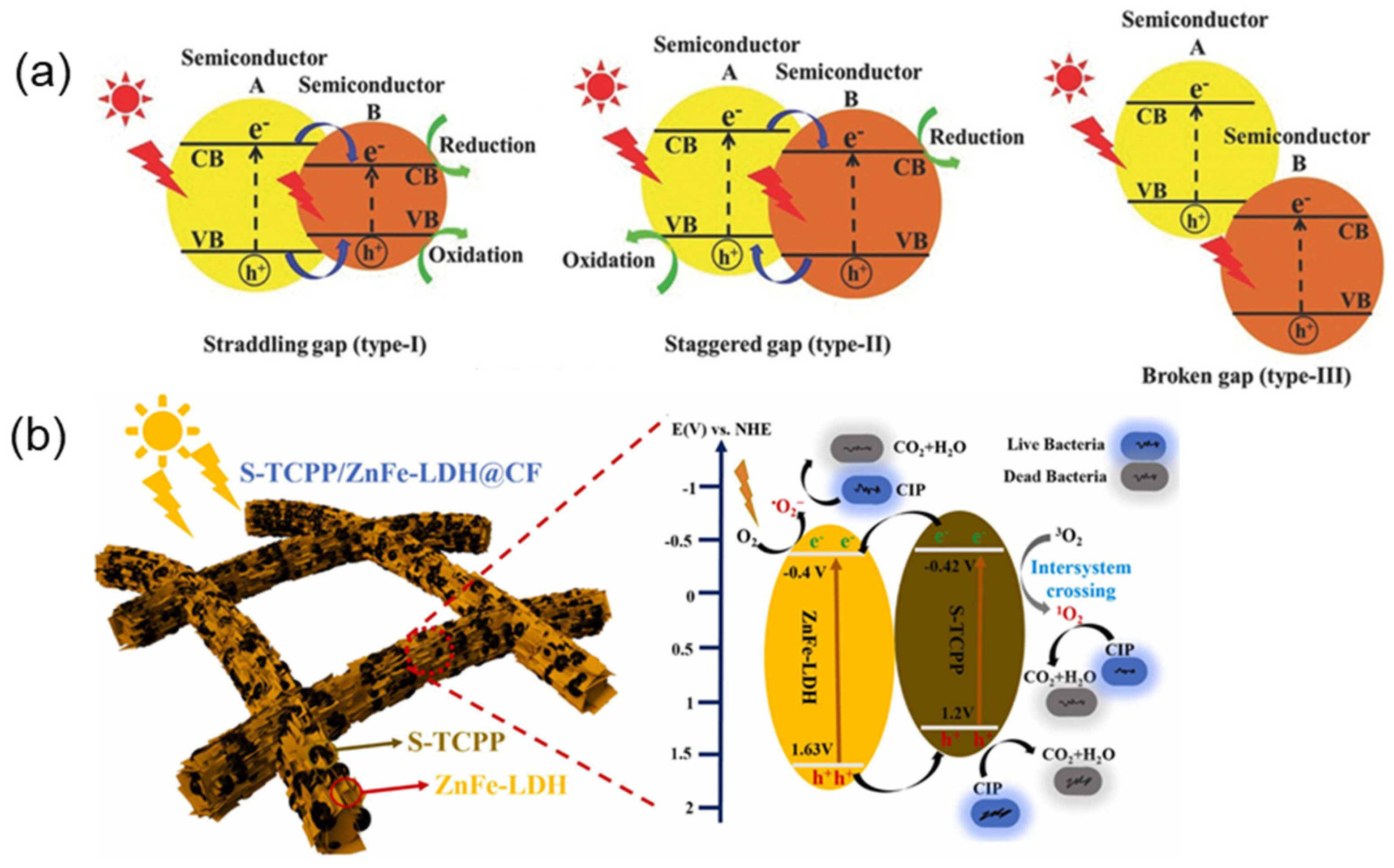 Molecules 29 06063 g009