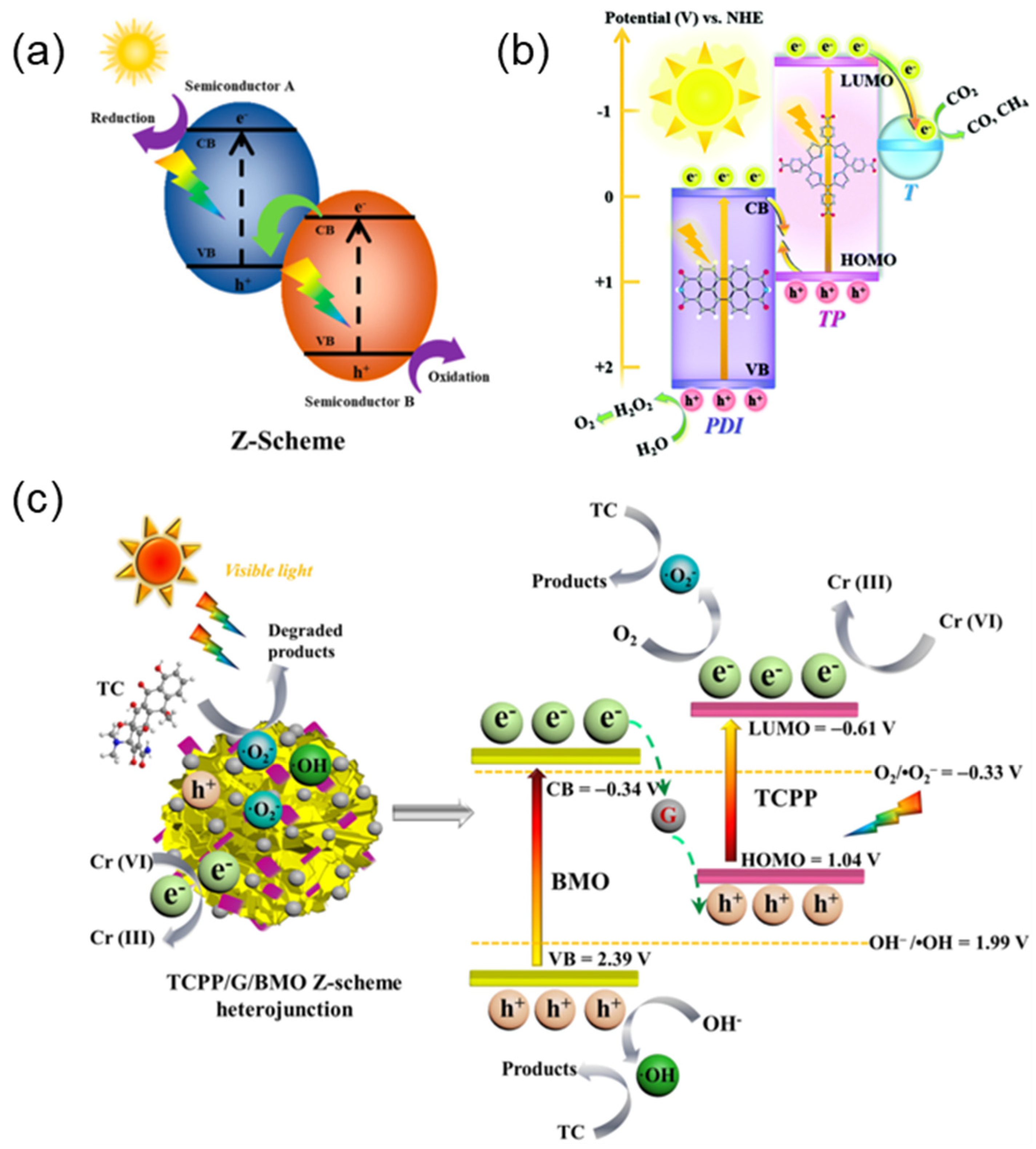 Molecules 29 06063 g010