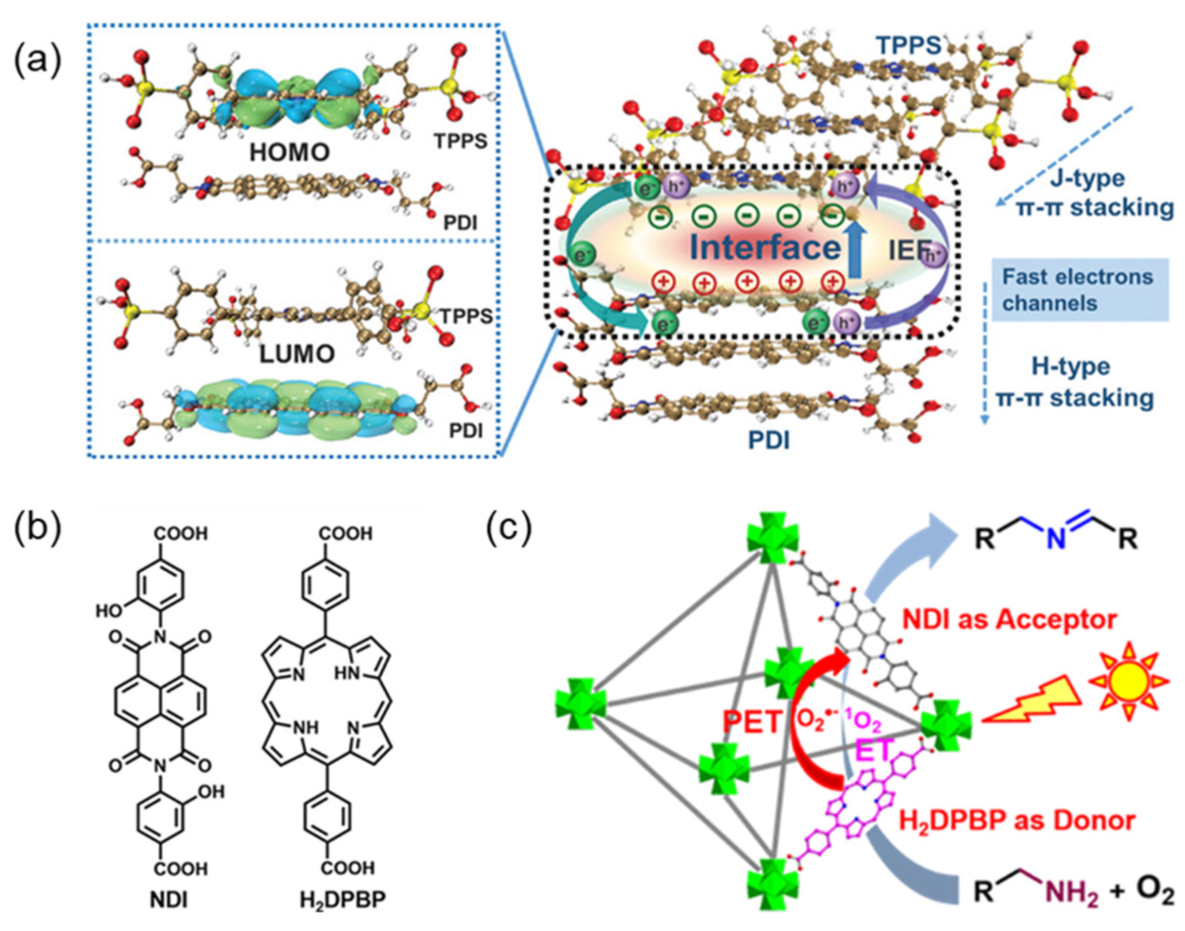 Molecules 29 06063 g012