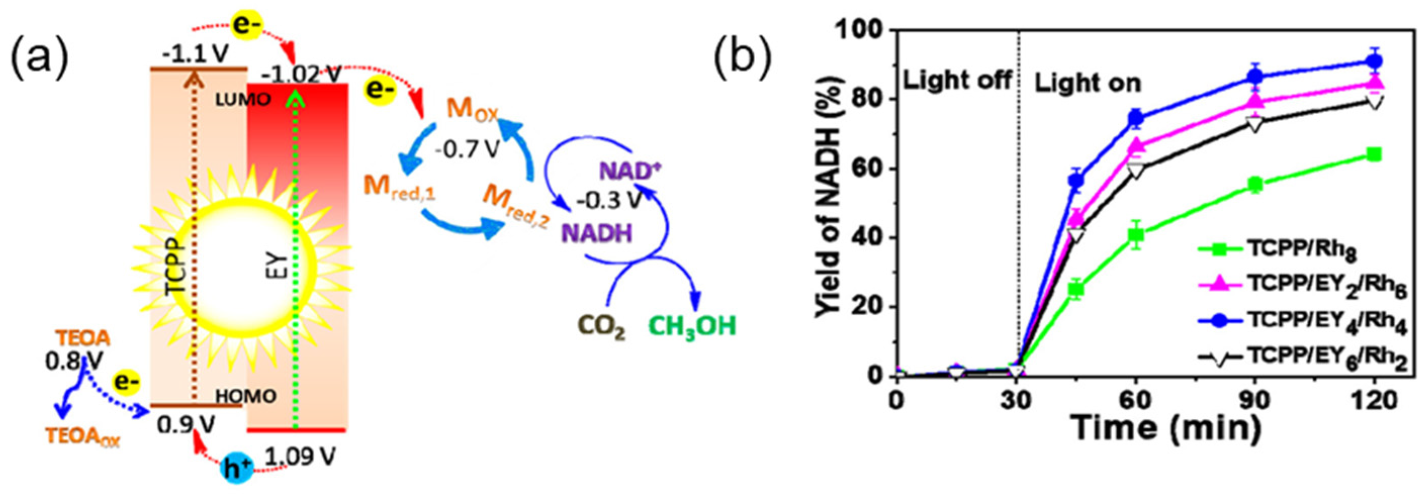 Molecules 29 06063 g018