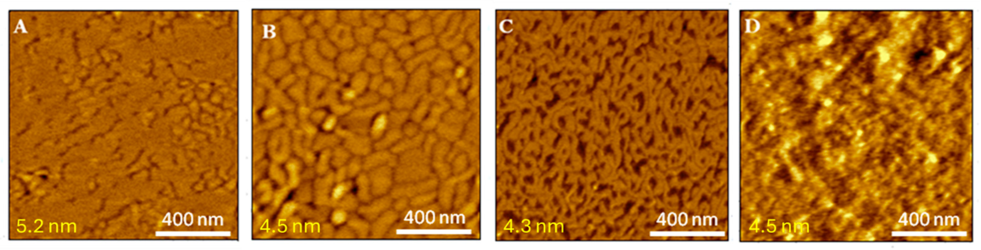 Molecules 29 06064 g005