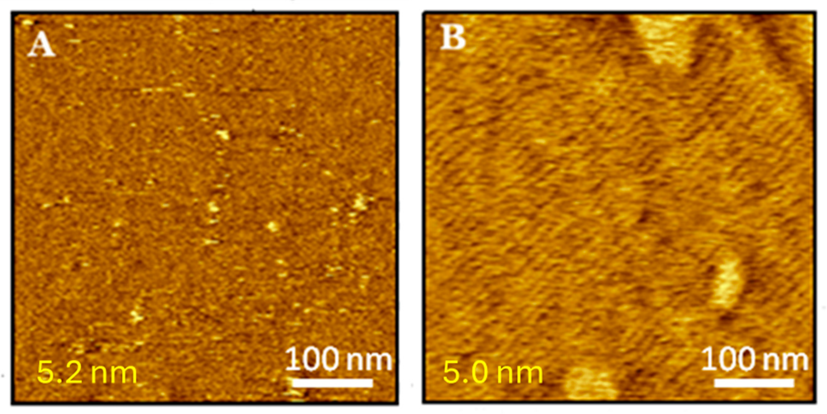 Molecules 29 06064 g006