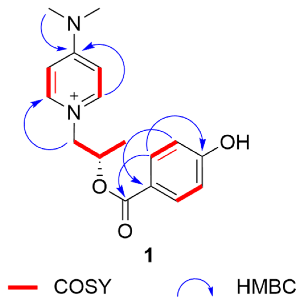 Molecules 30 00007 g001