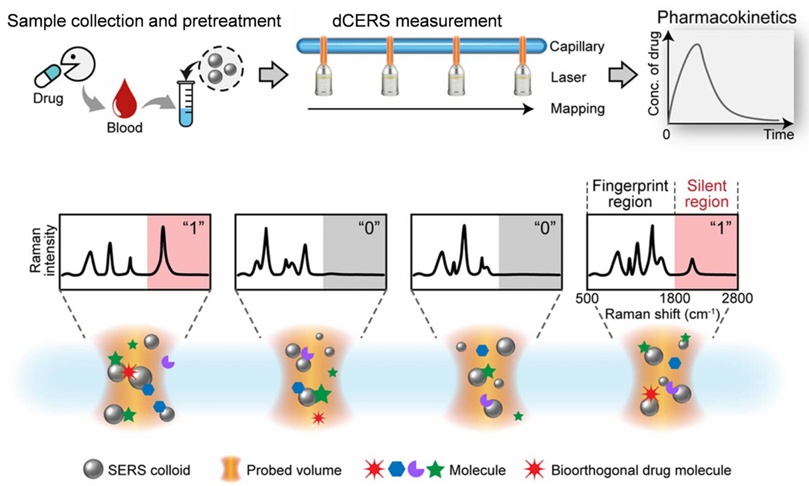 Molecules 30 00015 g002