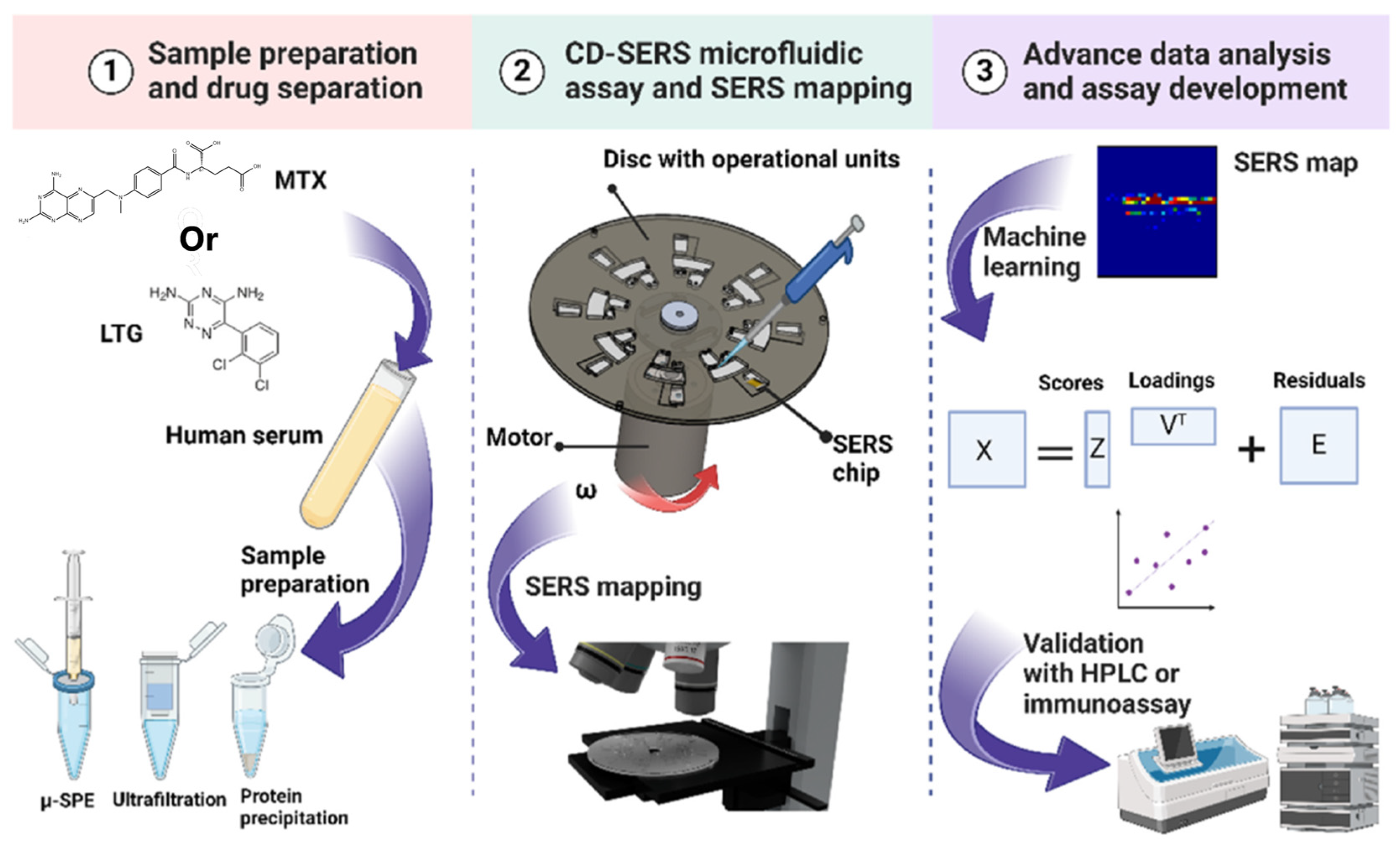 Molecules 30 00015 g004