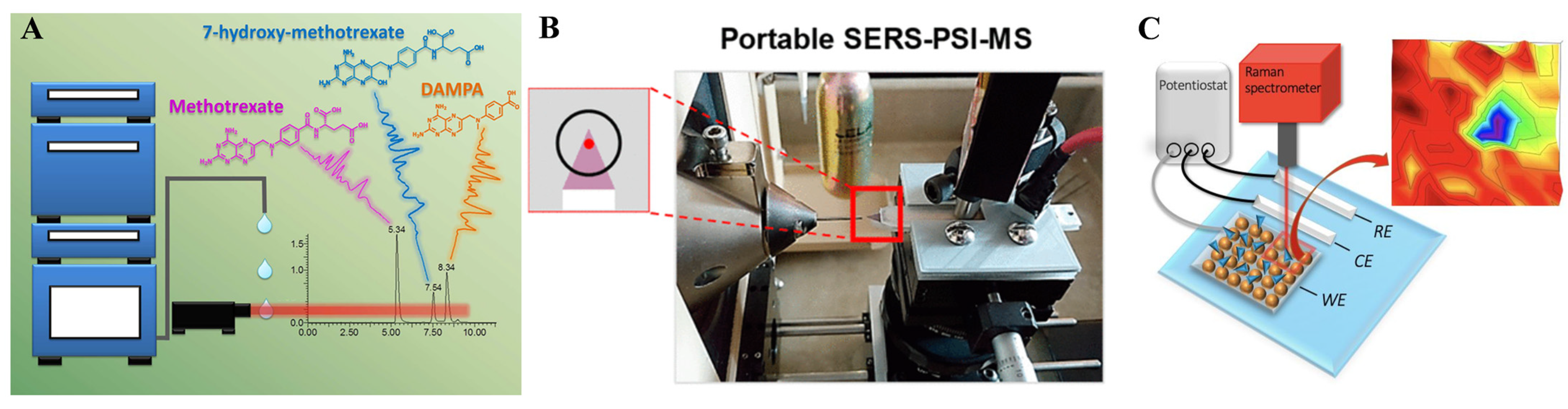Molecules 30 00015 g005