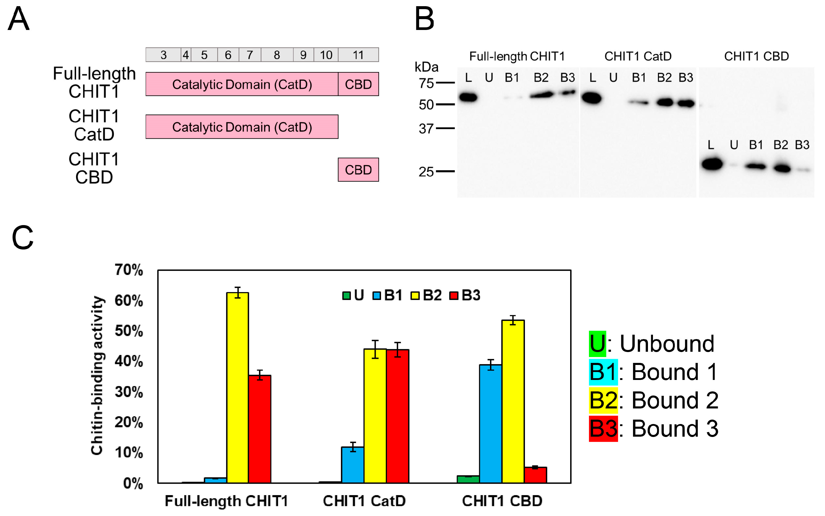 Molecules 30 00019 g003