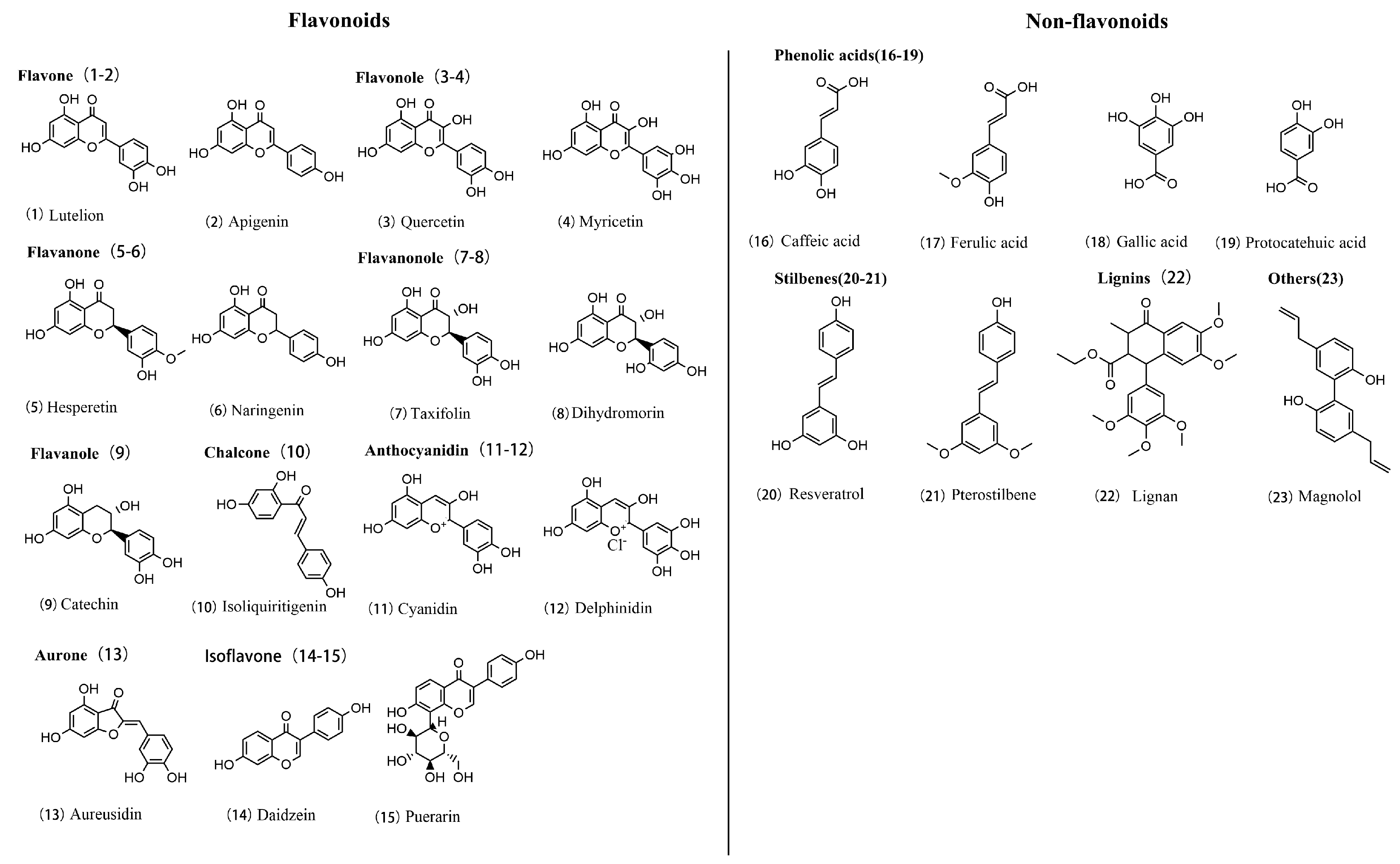 Molecules 30 00020 g004