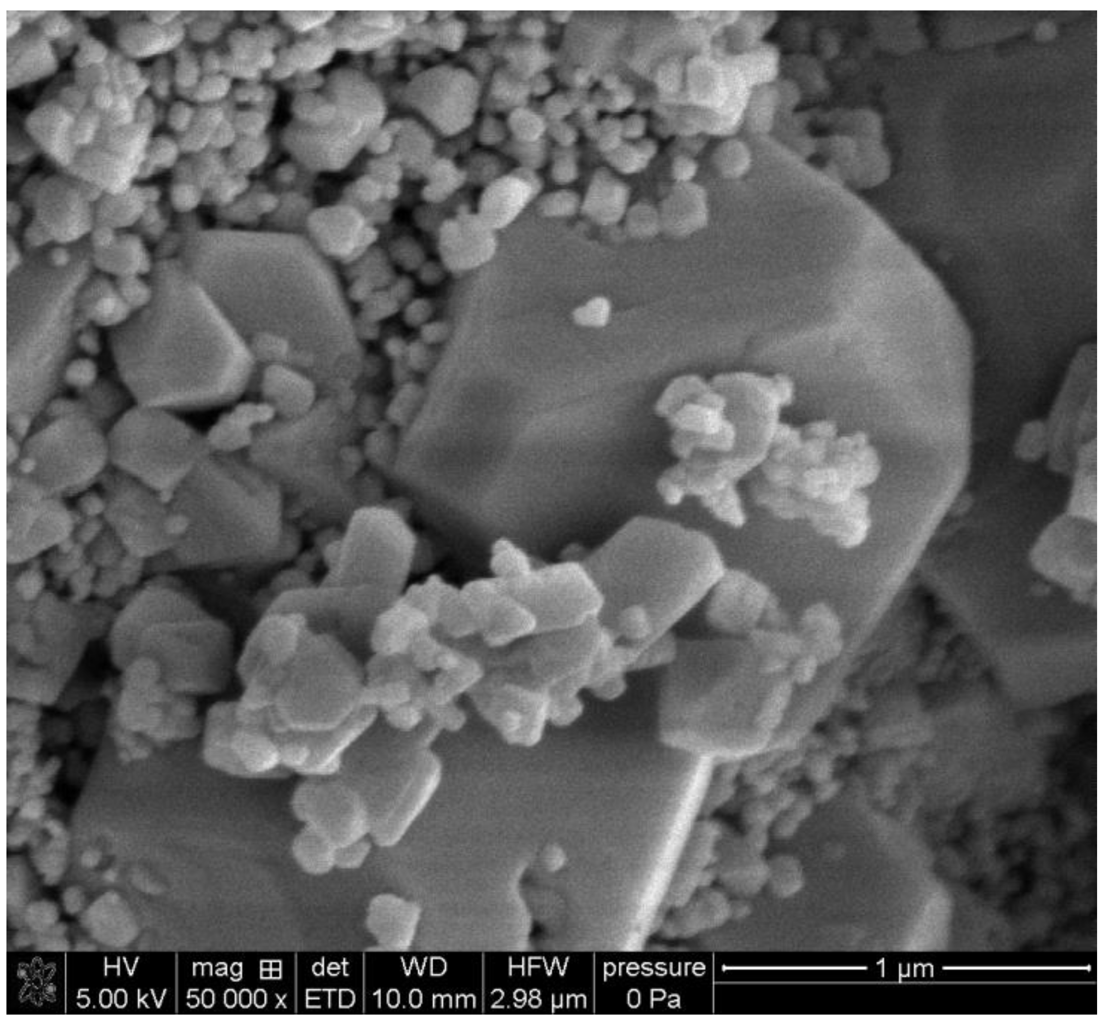 Molecules 30 00021 g003