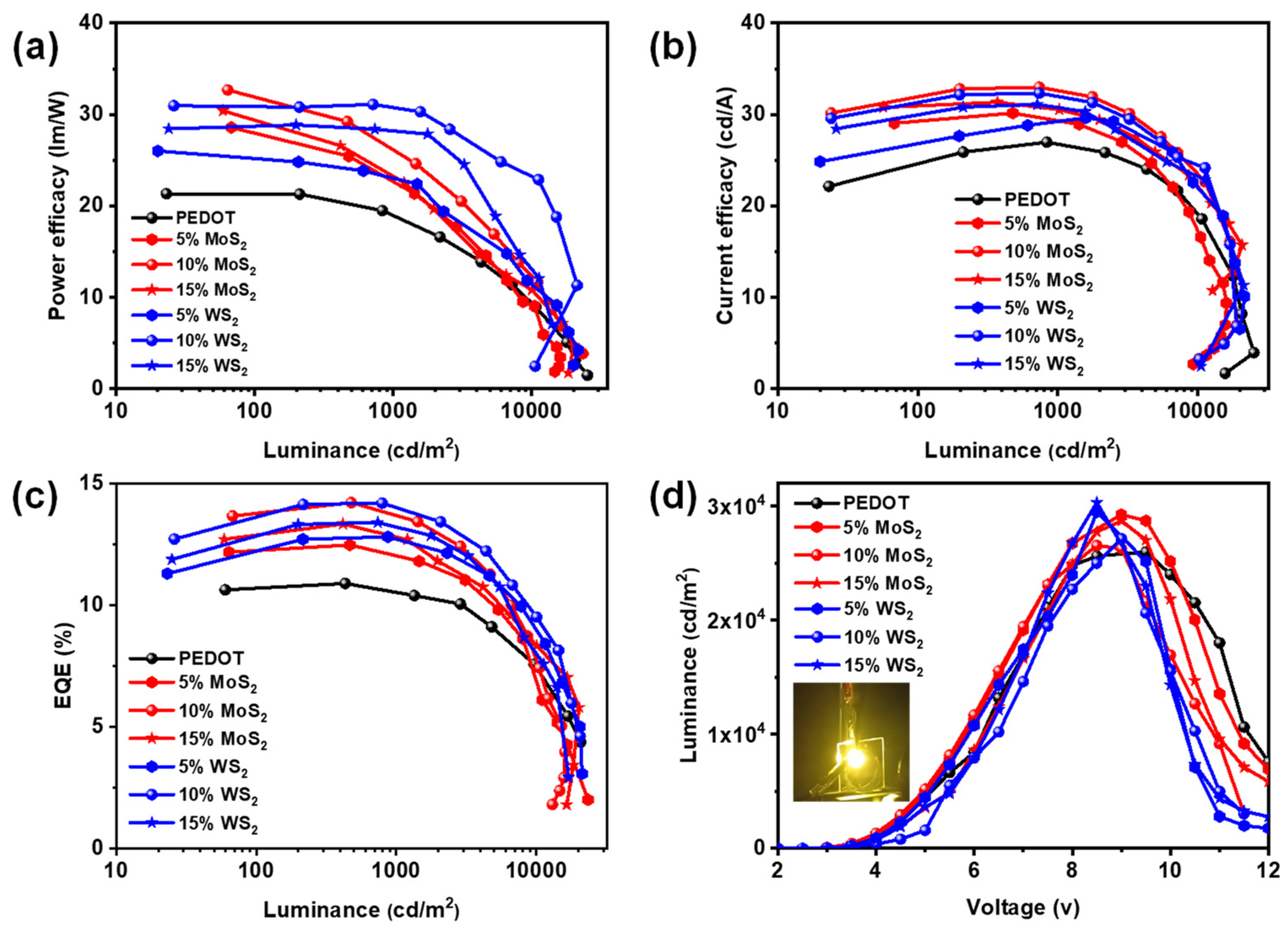 Molecules 30 00027 g004