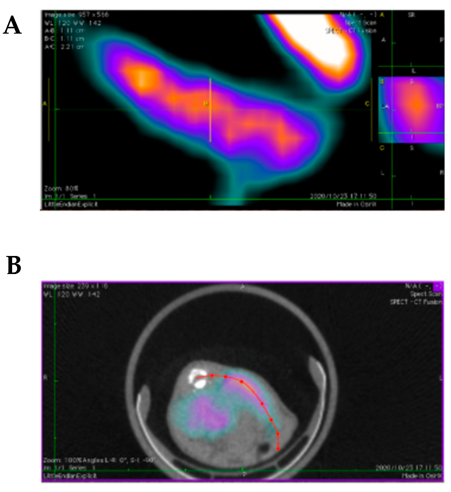 Molecules 30 00038 g005