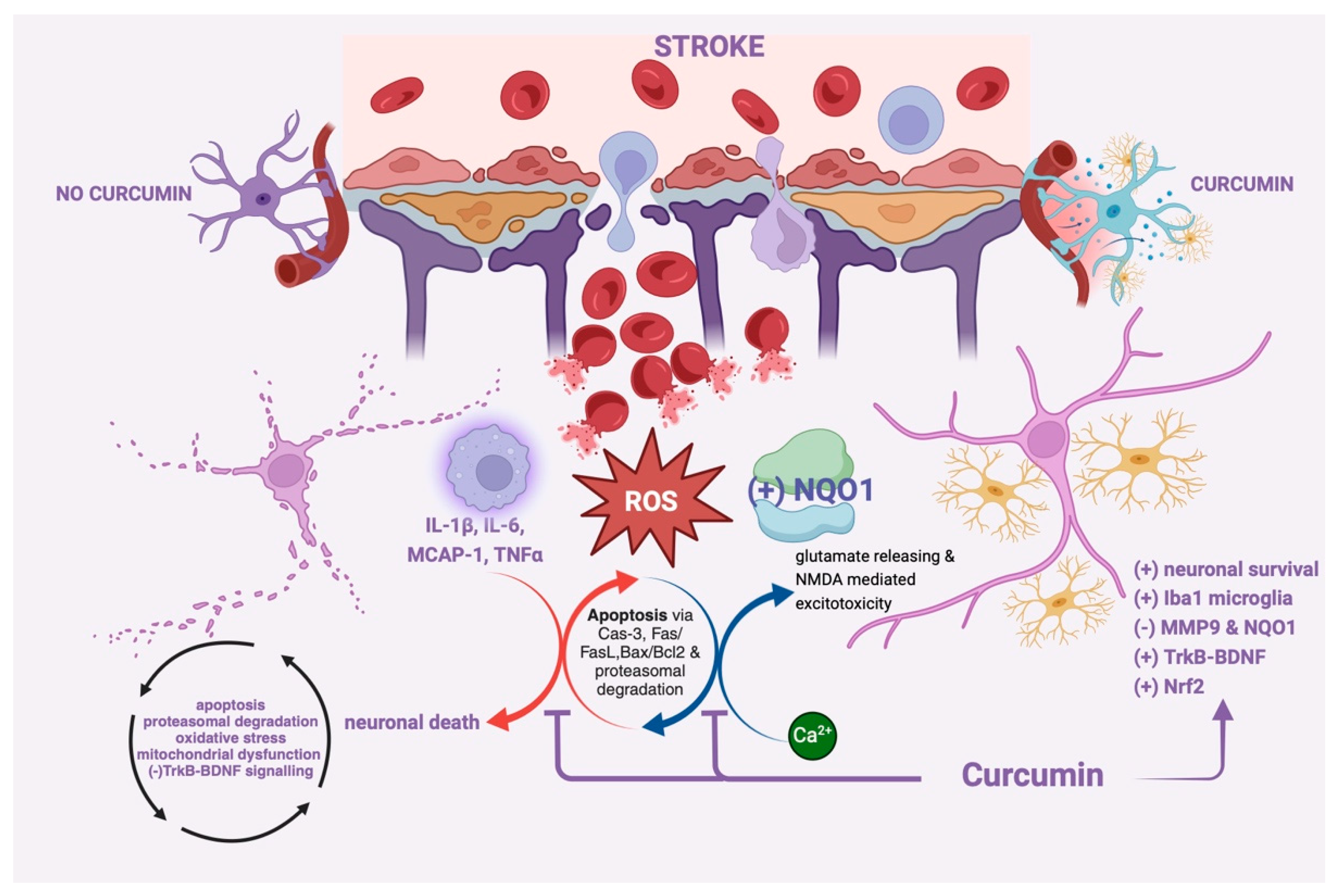 Molecules 30 00043 g002 Molecules 30 00043 g002
