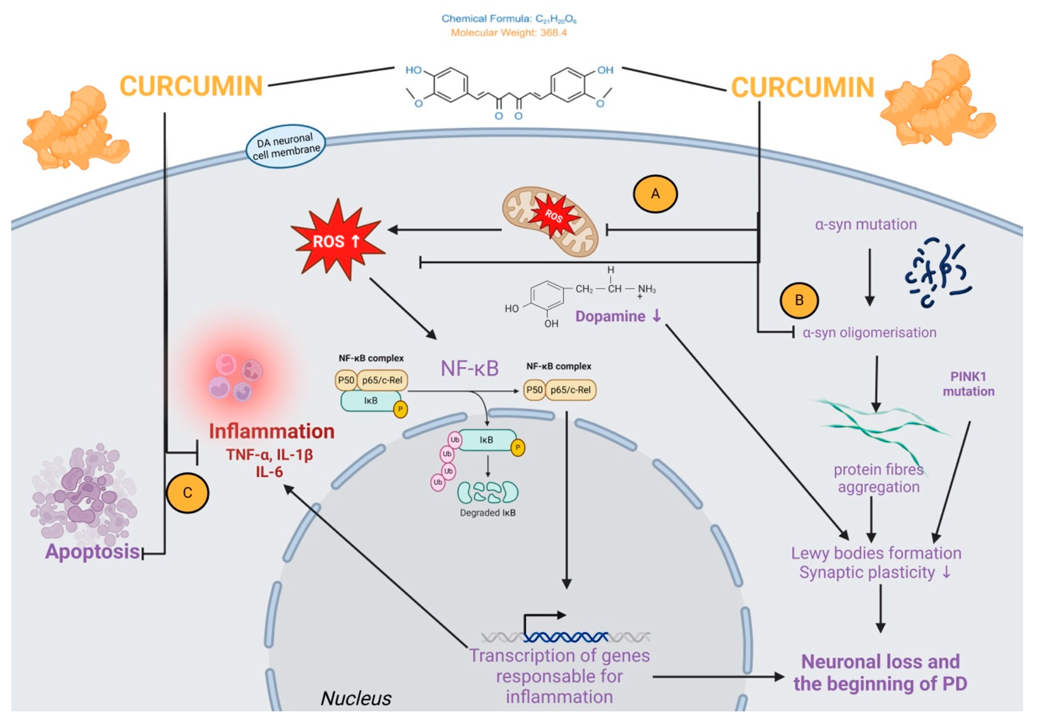 Molecules 30 00043 g005 Molecules 30 00043 g005