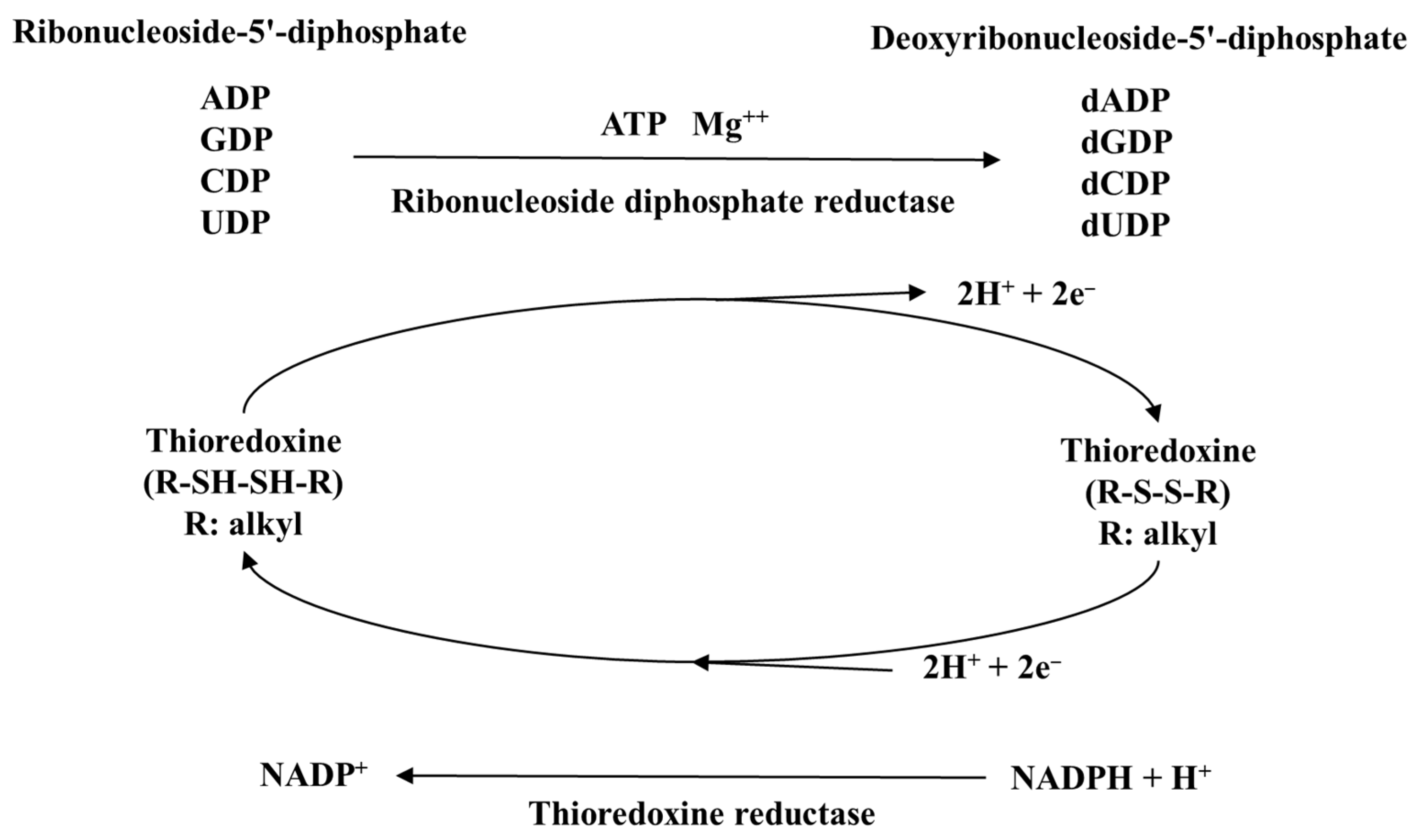 Molecules 30 00050 g006 Molecules 30 00050 g006