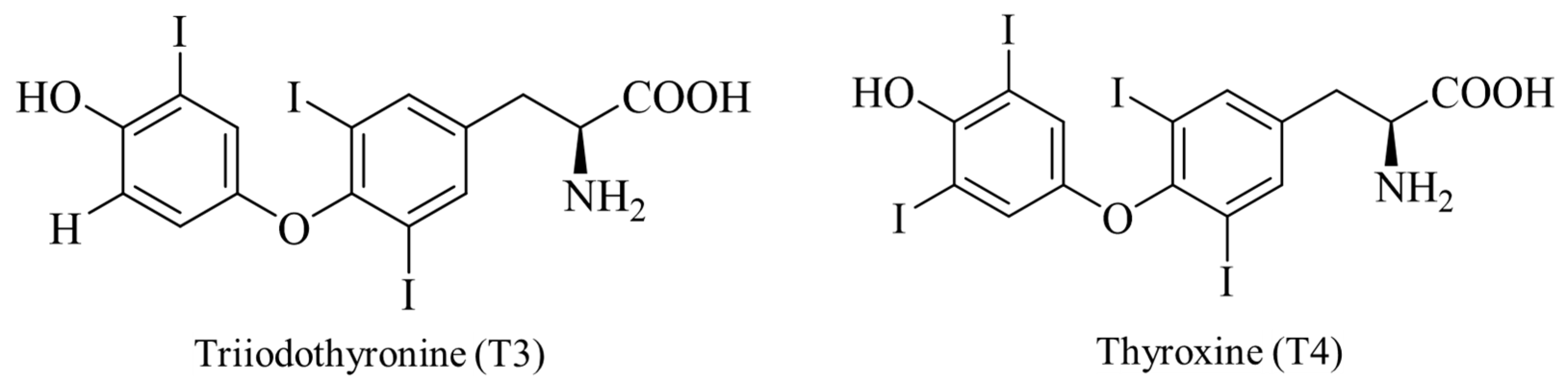 Molecules 30 00050 g007 Molecules 30 00050 g007