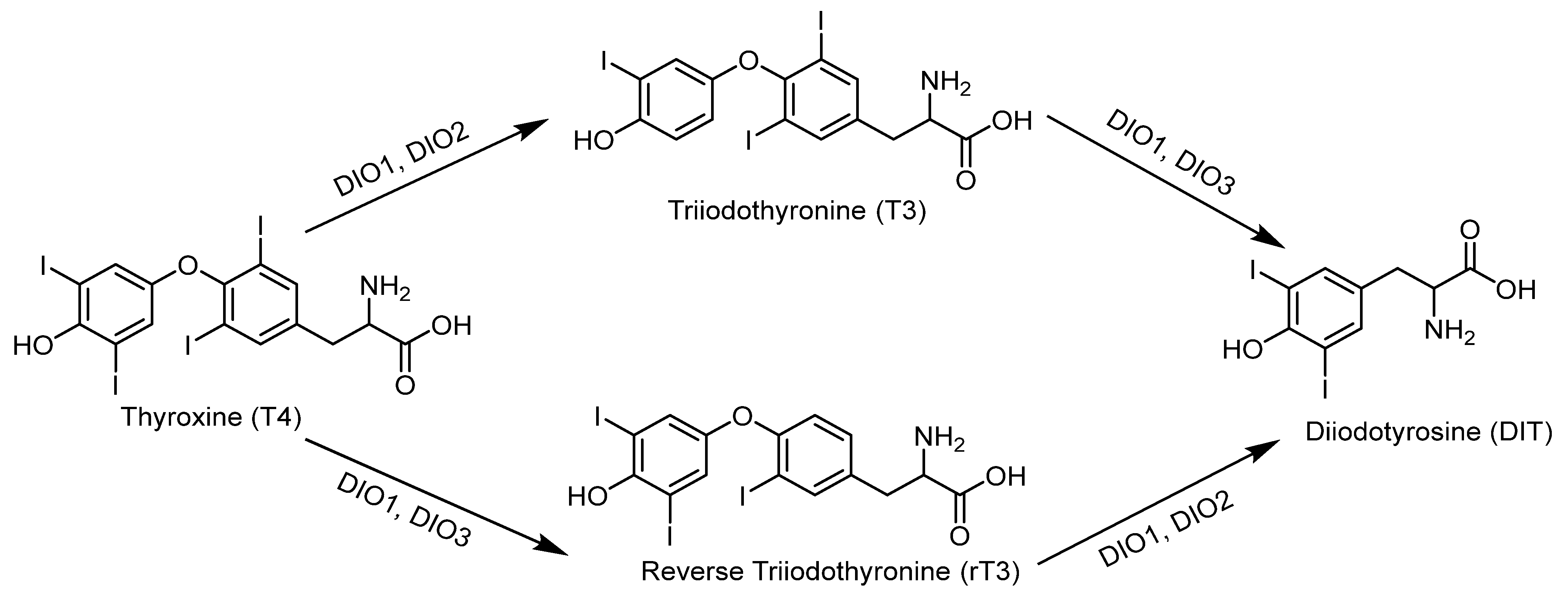 Molecules 30 00050 g009 Molecules 30 00050 g009