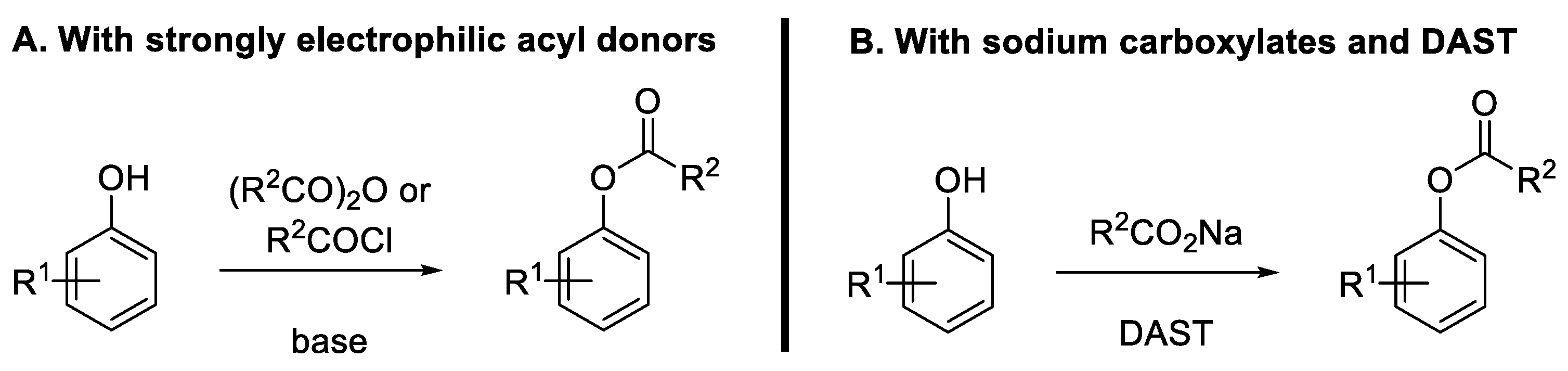 Molecules 30 00051 g003