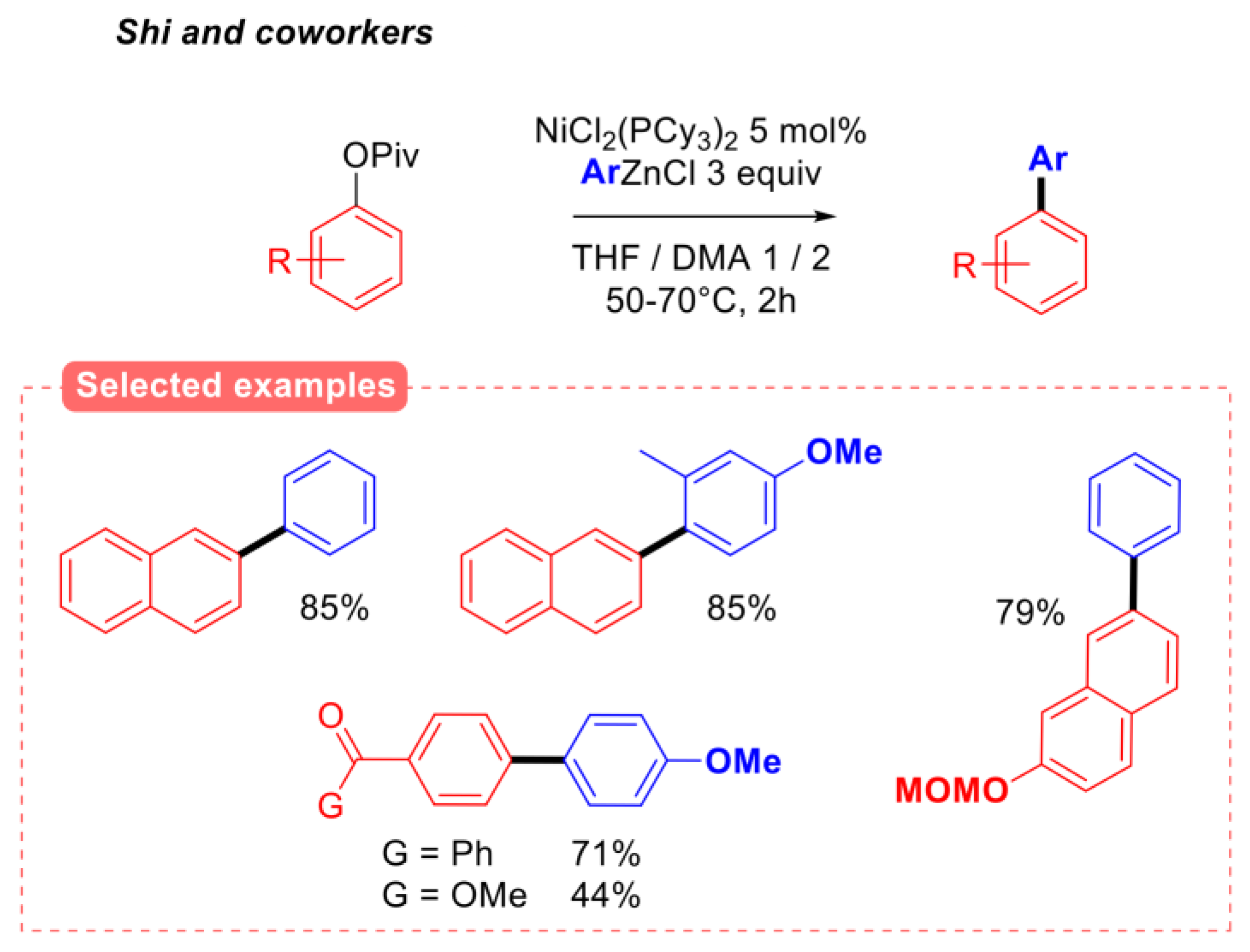 Molecules 30 00051 g006