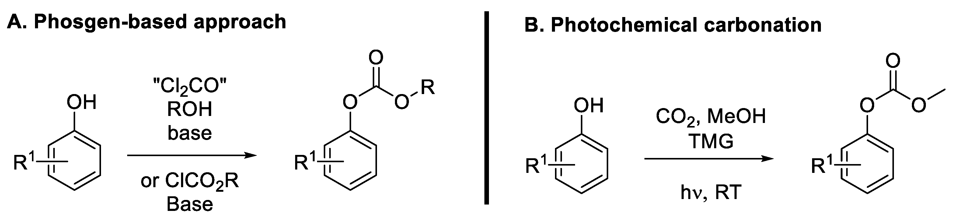 Molecules 30 00051 g012