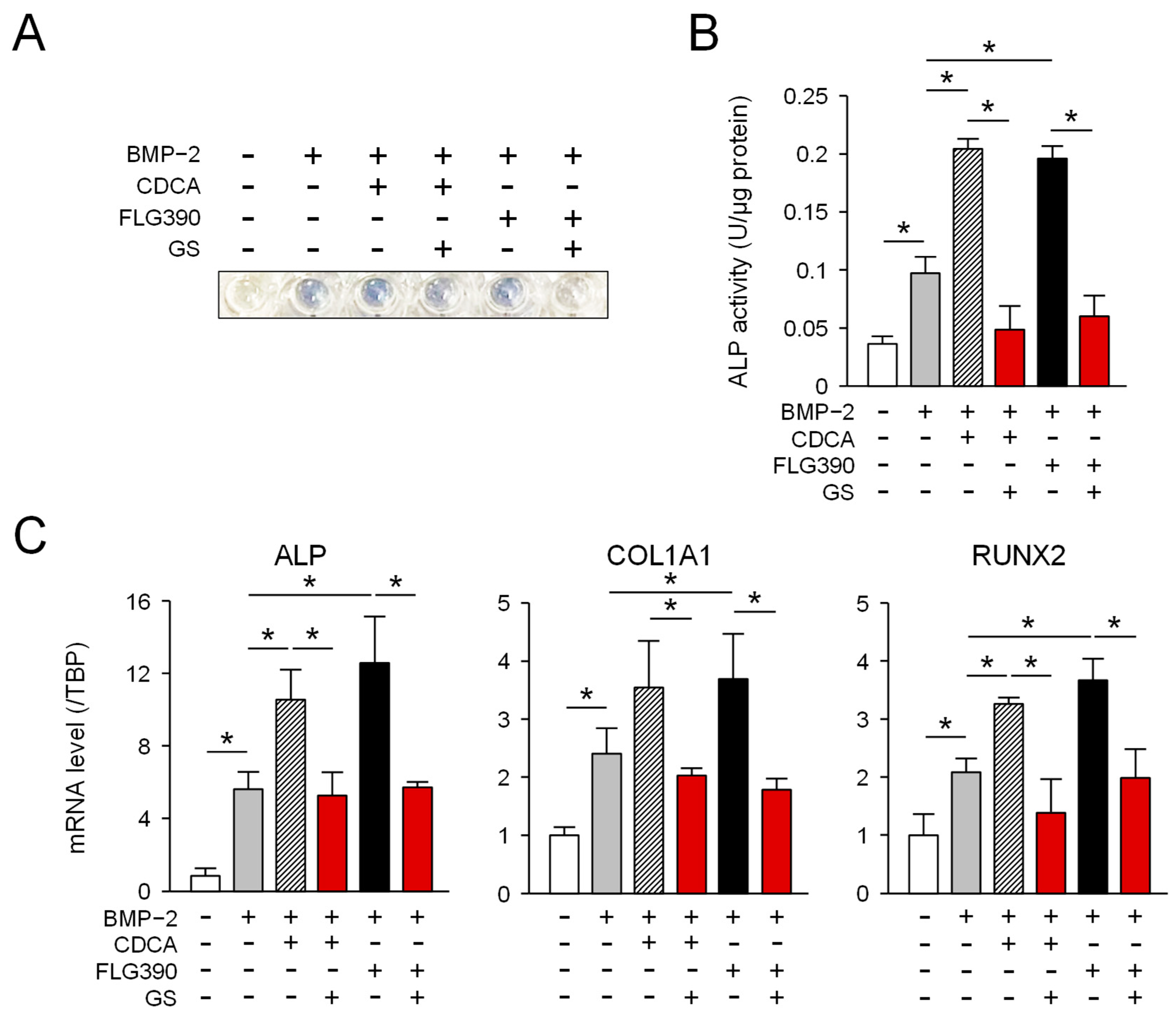 Molecules 30 00058 g003 Molecules 30 00058 g003