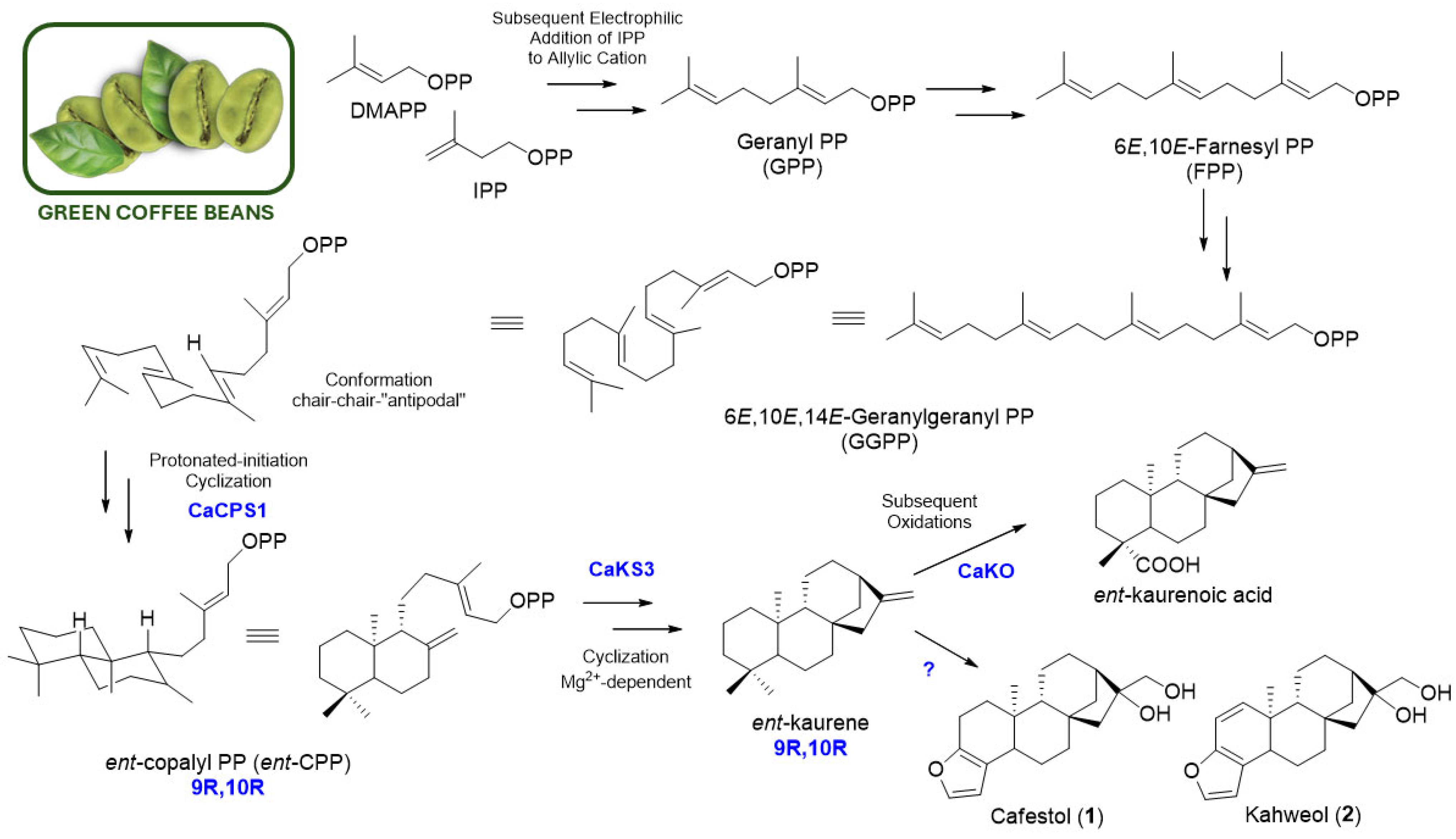 Molecules 30 00059 g002