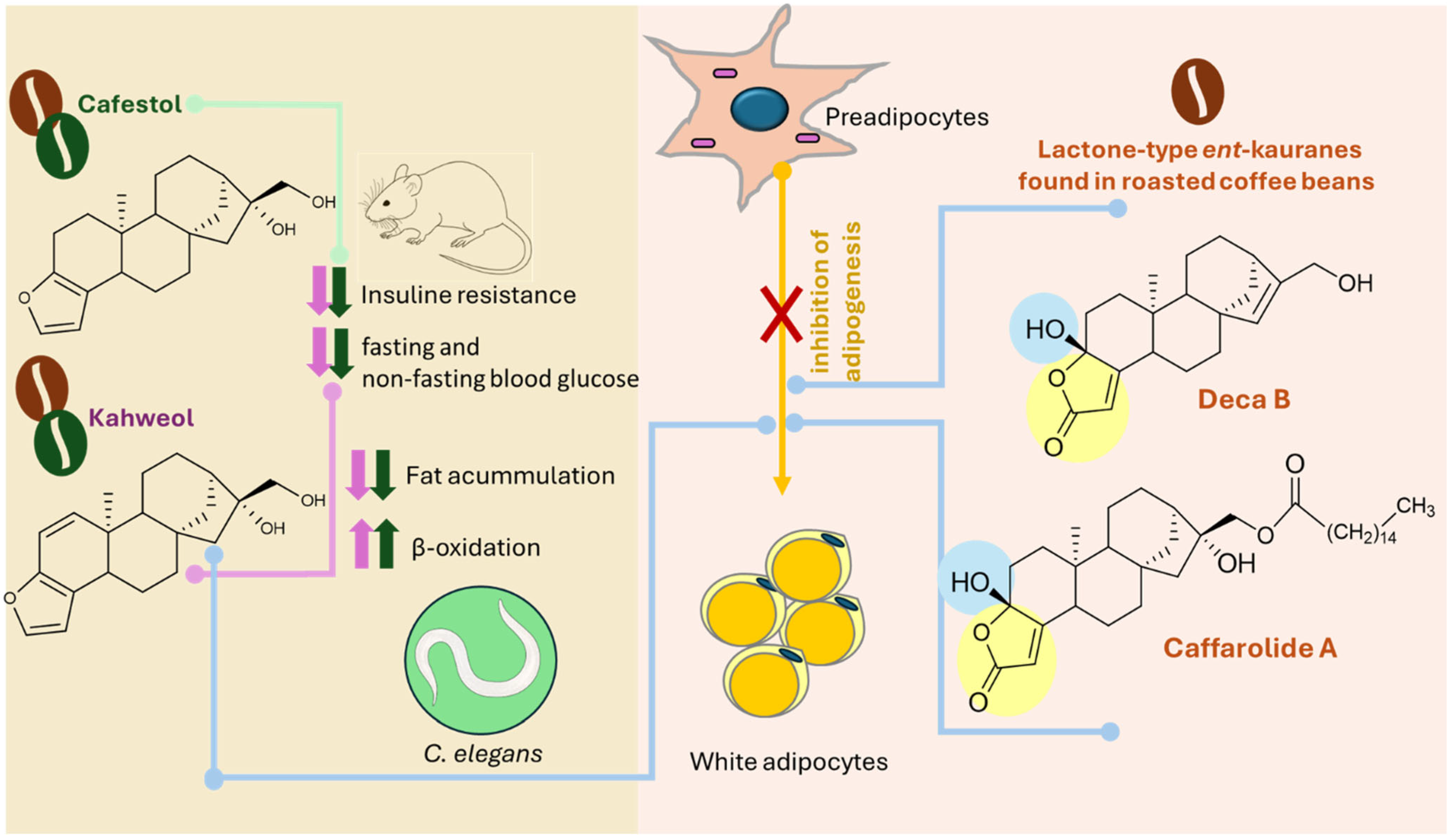 Molecules 30 00059 g009