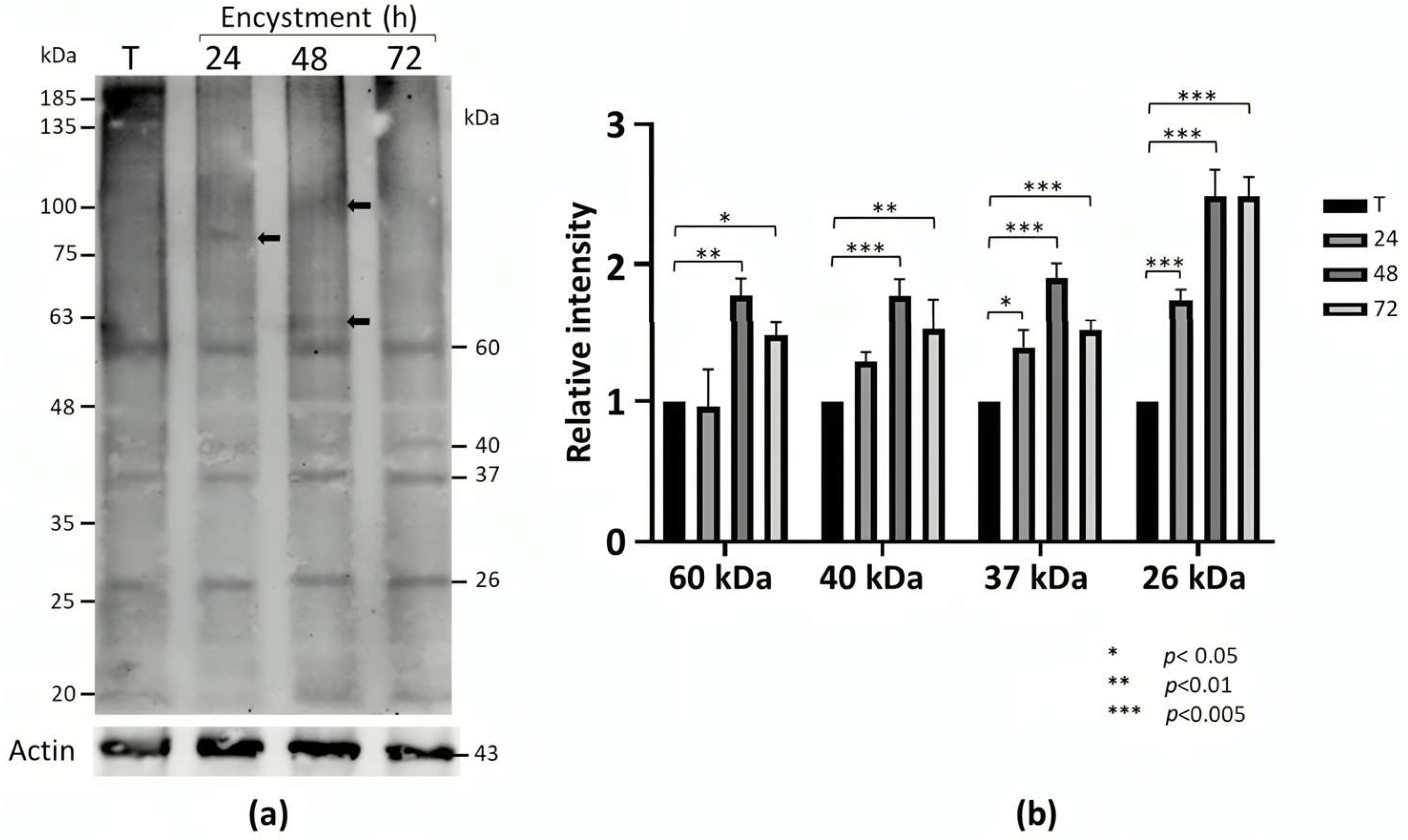 Molecules 30 00062 g001 Molecules 30 00062 g001