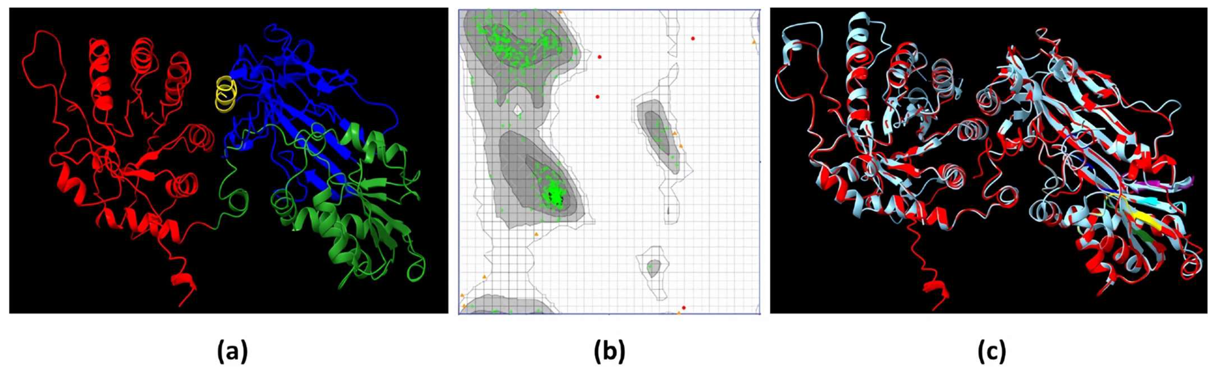 Molecules 30 00062 g004 Molecules 30 00062 g004