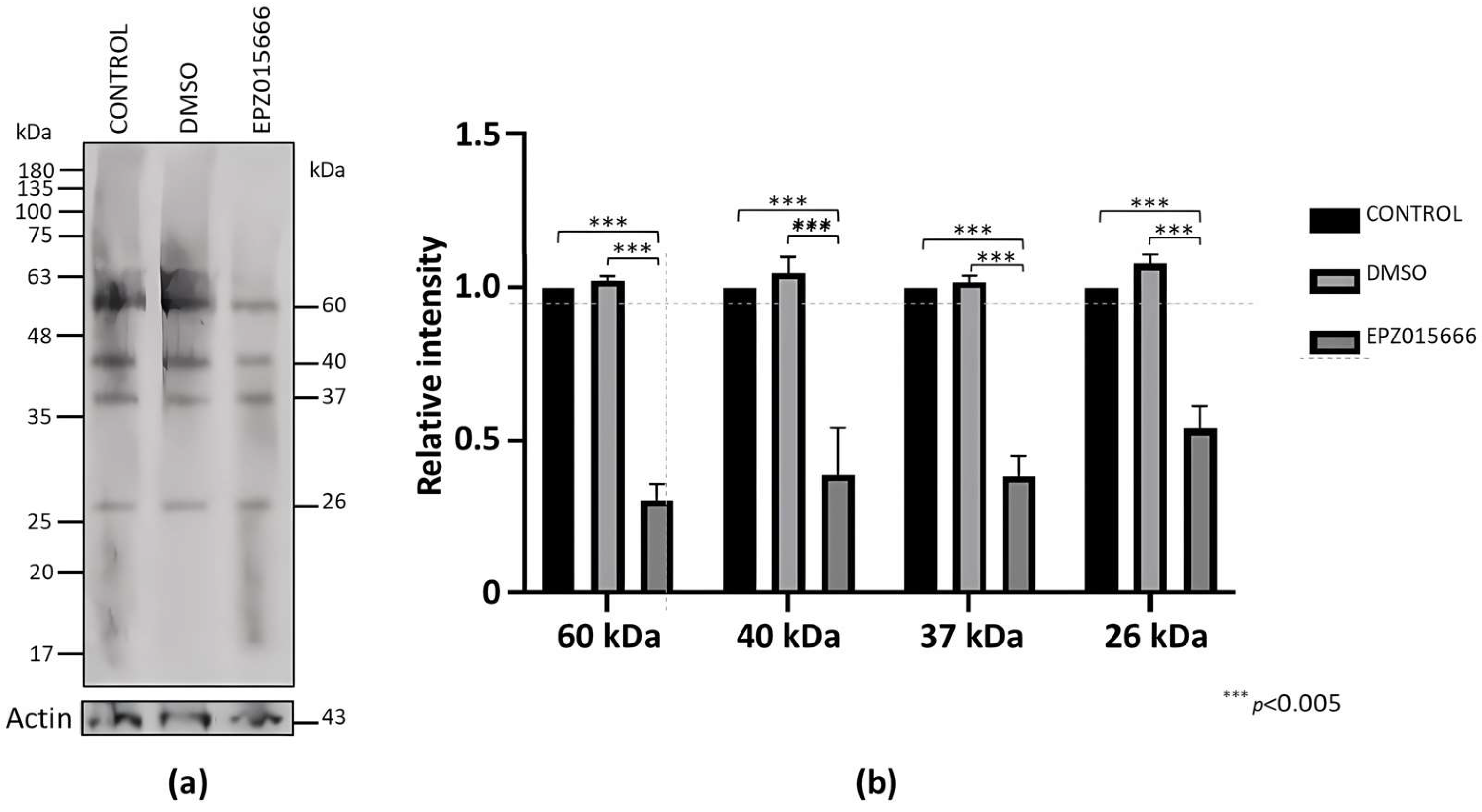 Molecules 30 00062 g008 Molecules 30 00062 g008