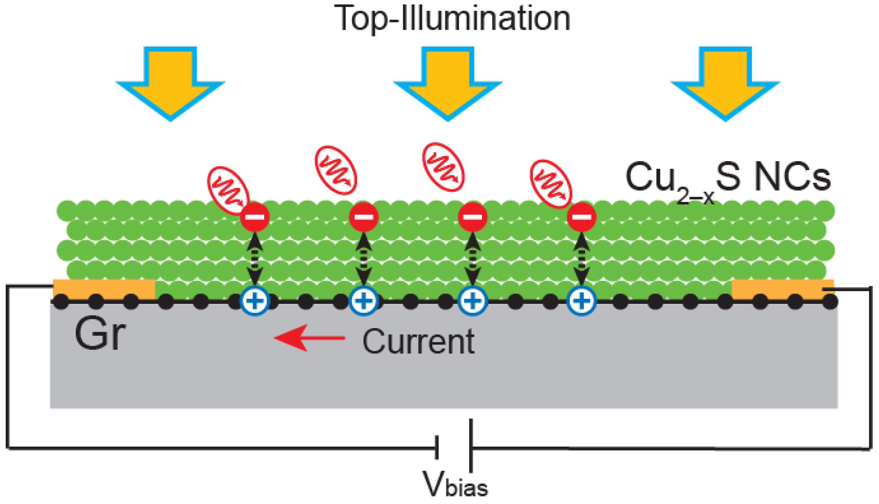 Molecules 30 00067 g001
