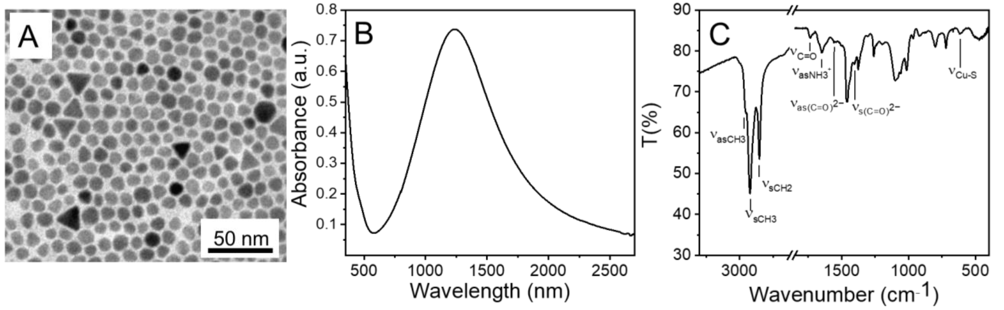 Molecules 30 00067 g002