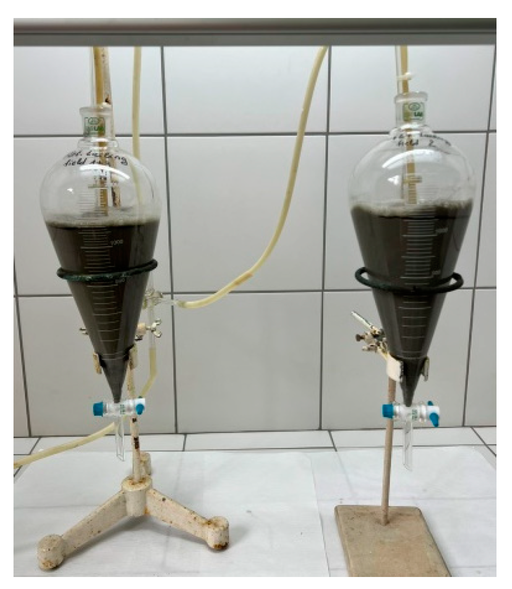 Molecules 30 00069 g001