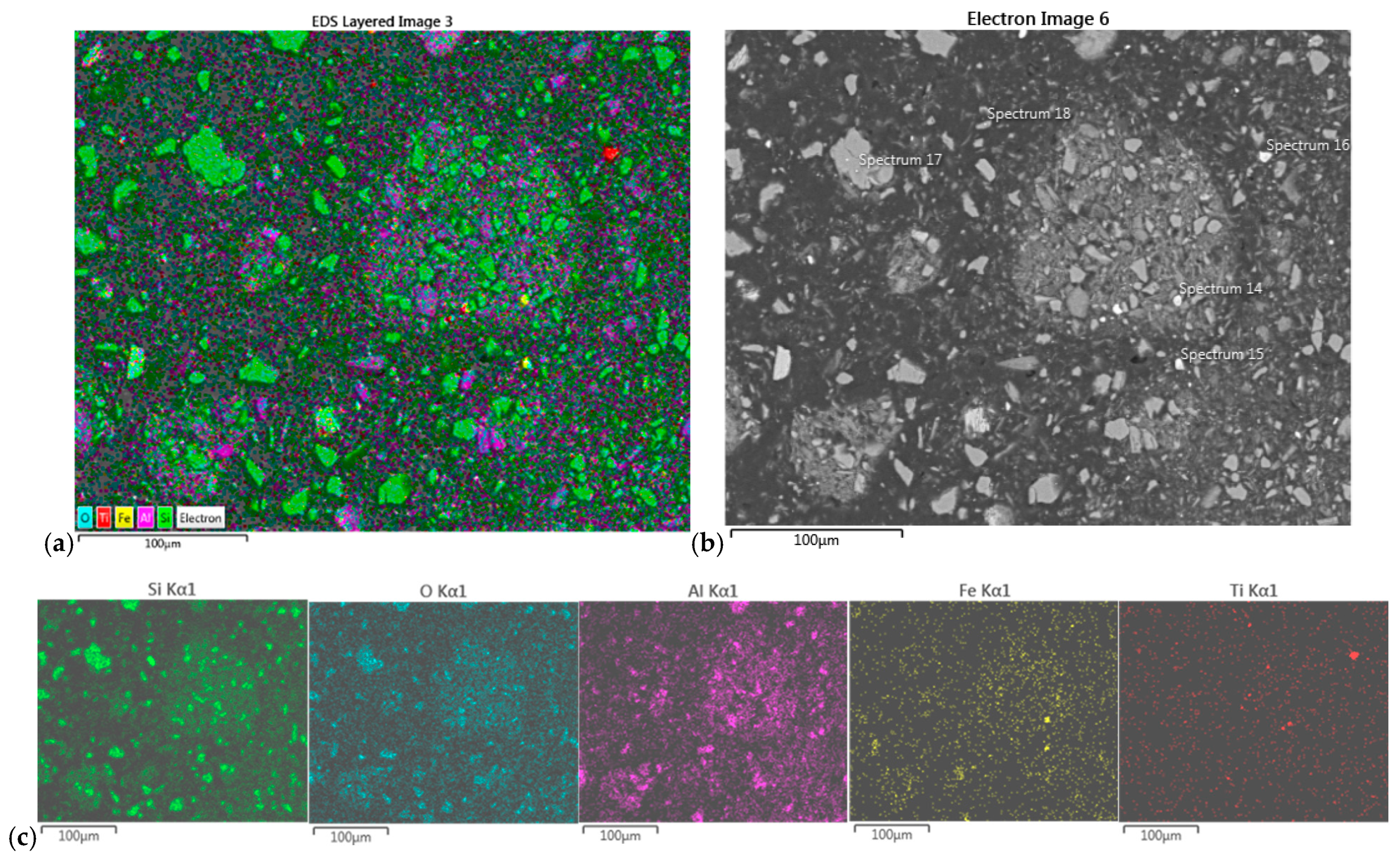 Molecules 30 00069 g007