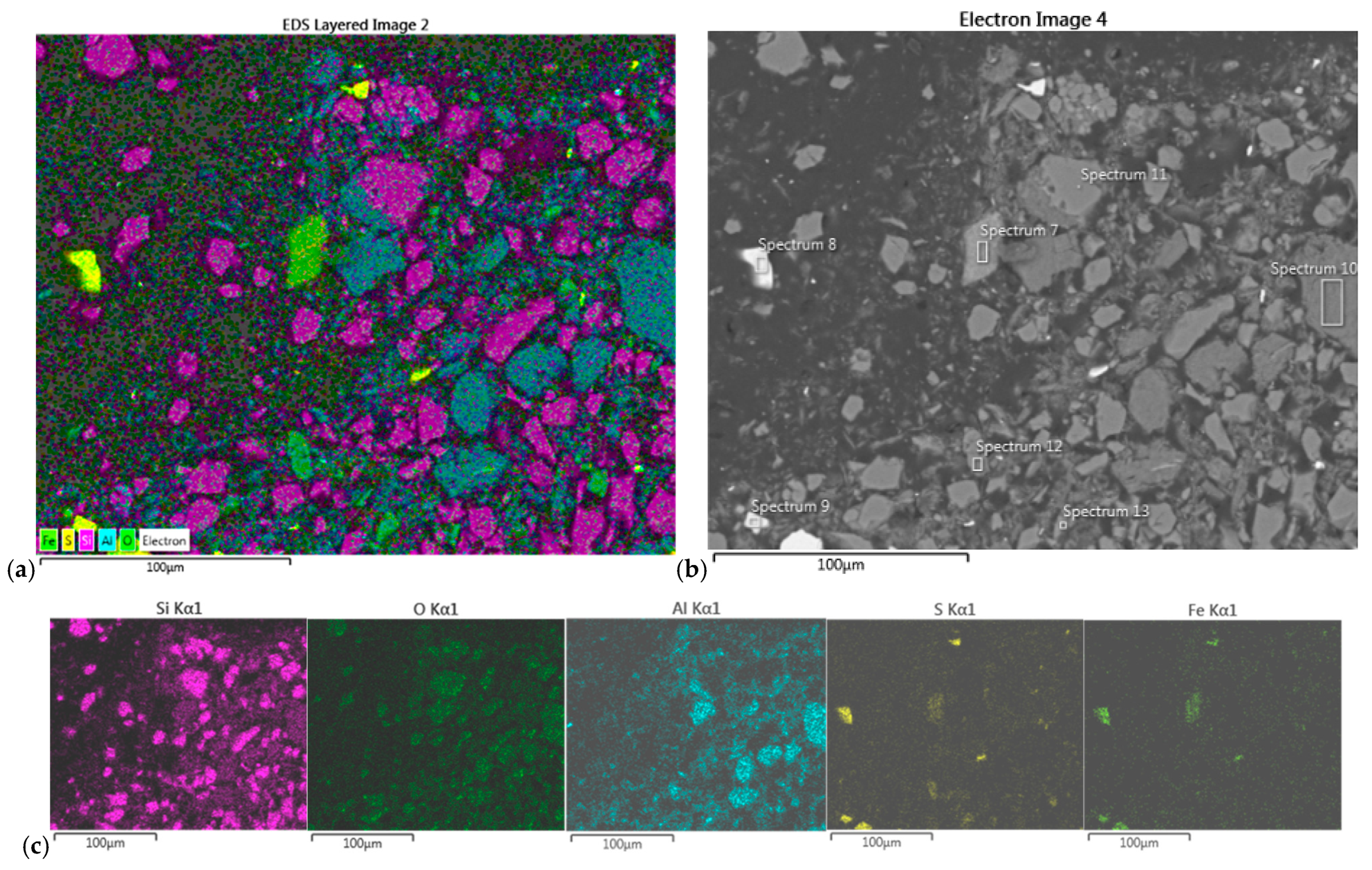 Molecules 30 00069 g009
