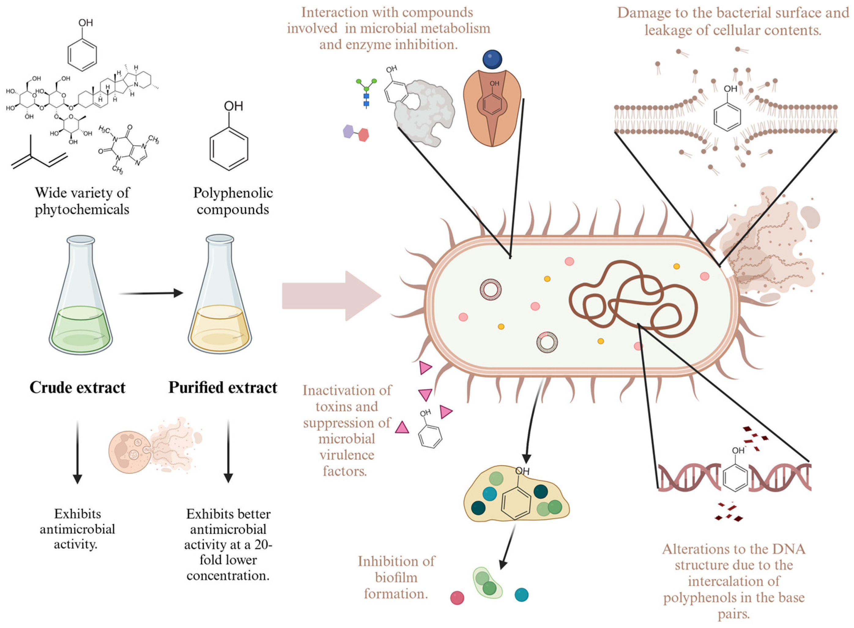 Molecules 30 00070 g003 Molecules 30 00070 g003