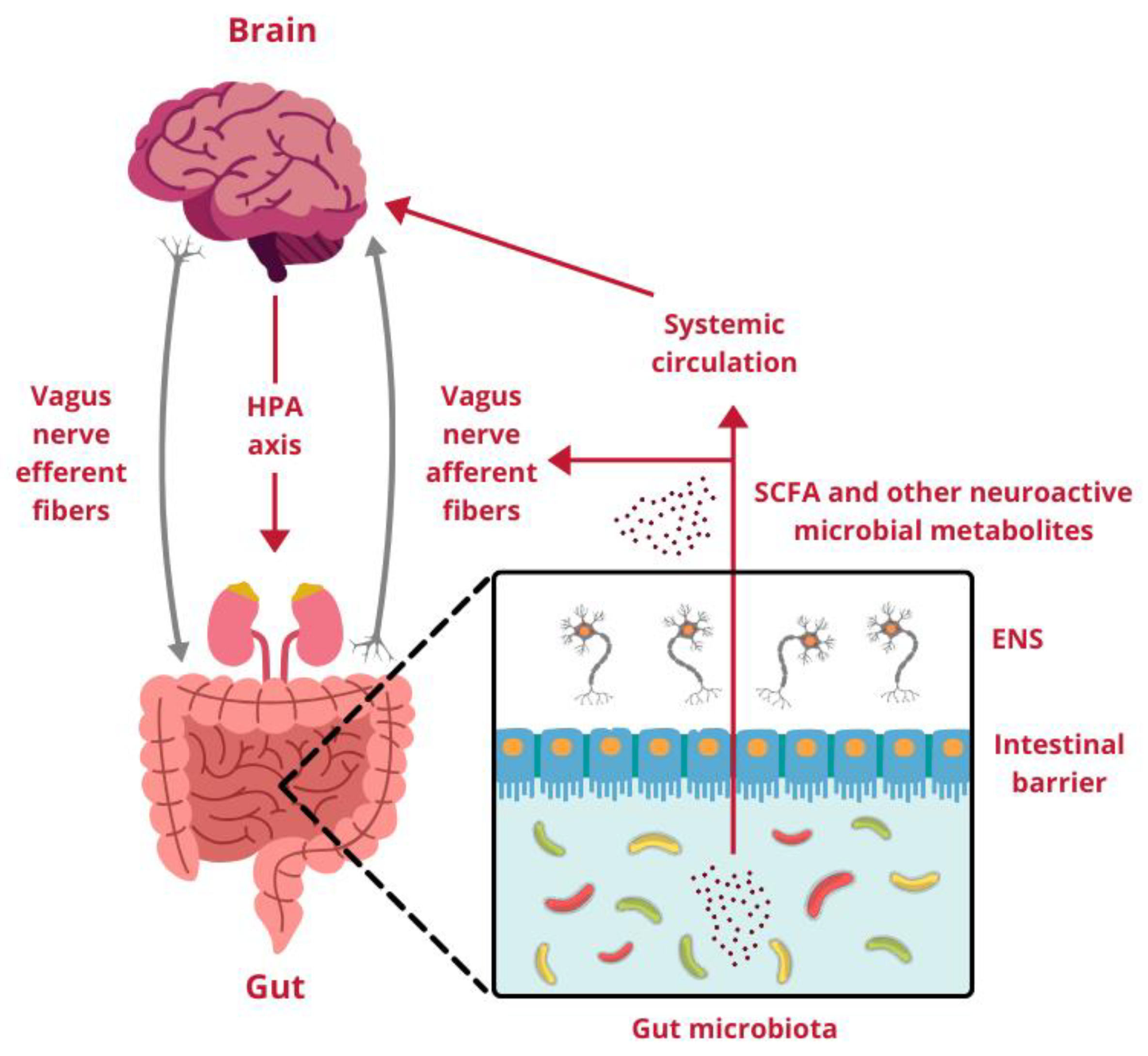 Molecules 30 00071 g001 Molecules 30 00071 g001