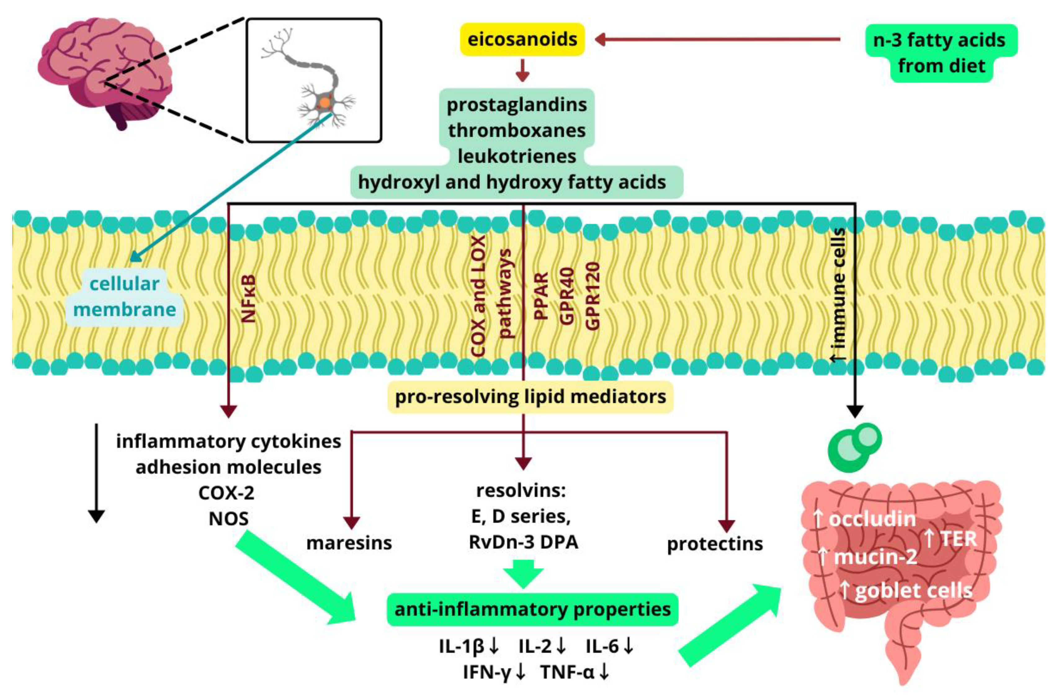 Molecules 30 00071 g003 Molecules 30 00071 g003