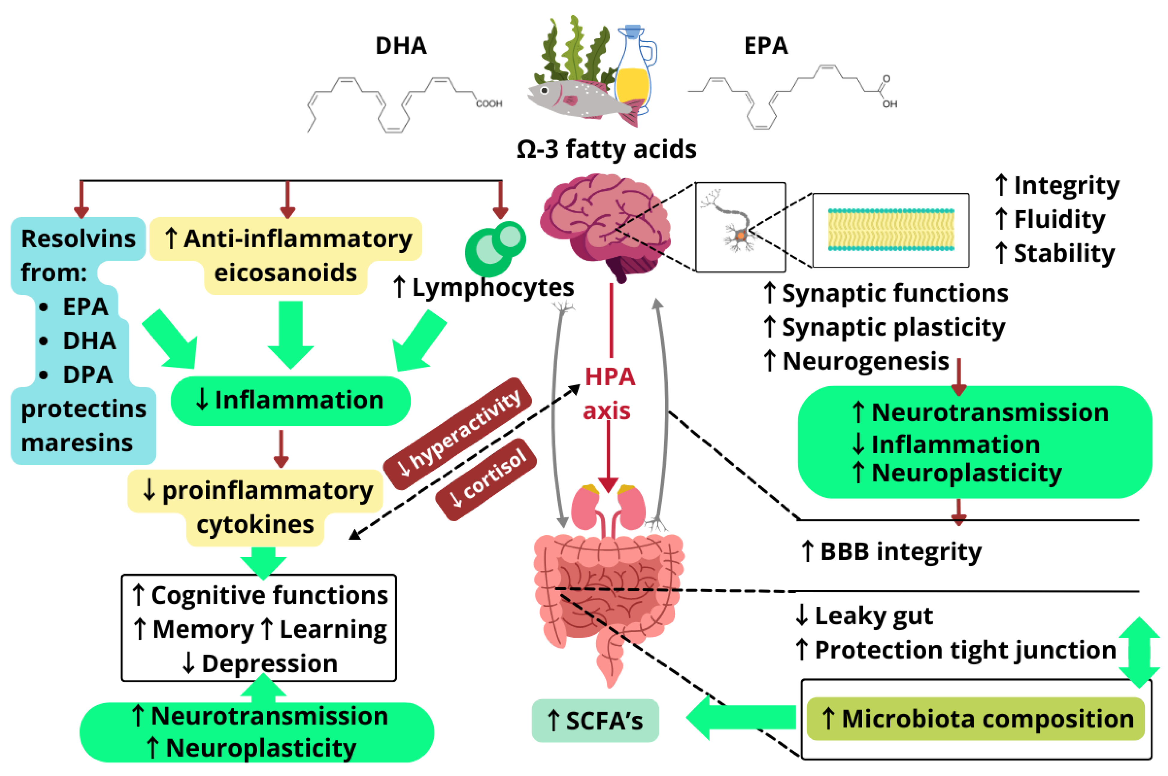 Molecules 30 00071 g004 Molecules 30 00071 g004